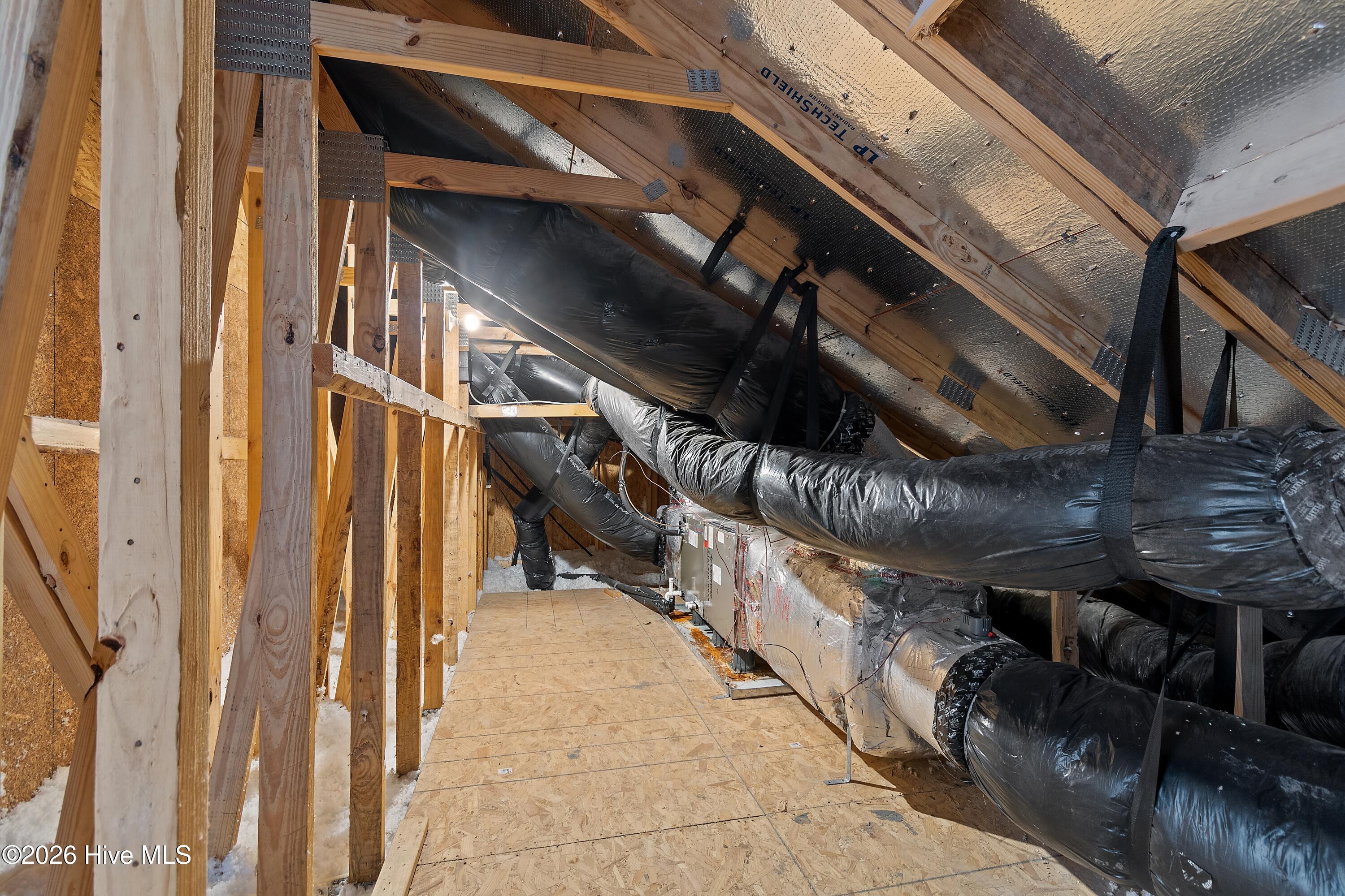 100561282 | Photo 50