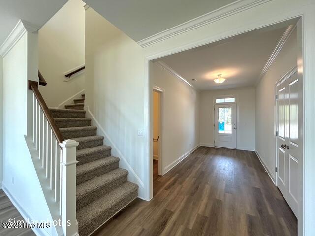 100535457 | Photo 15