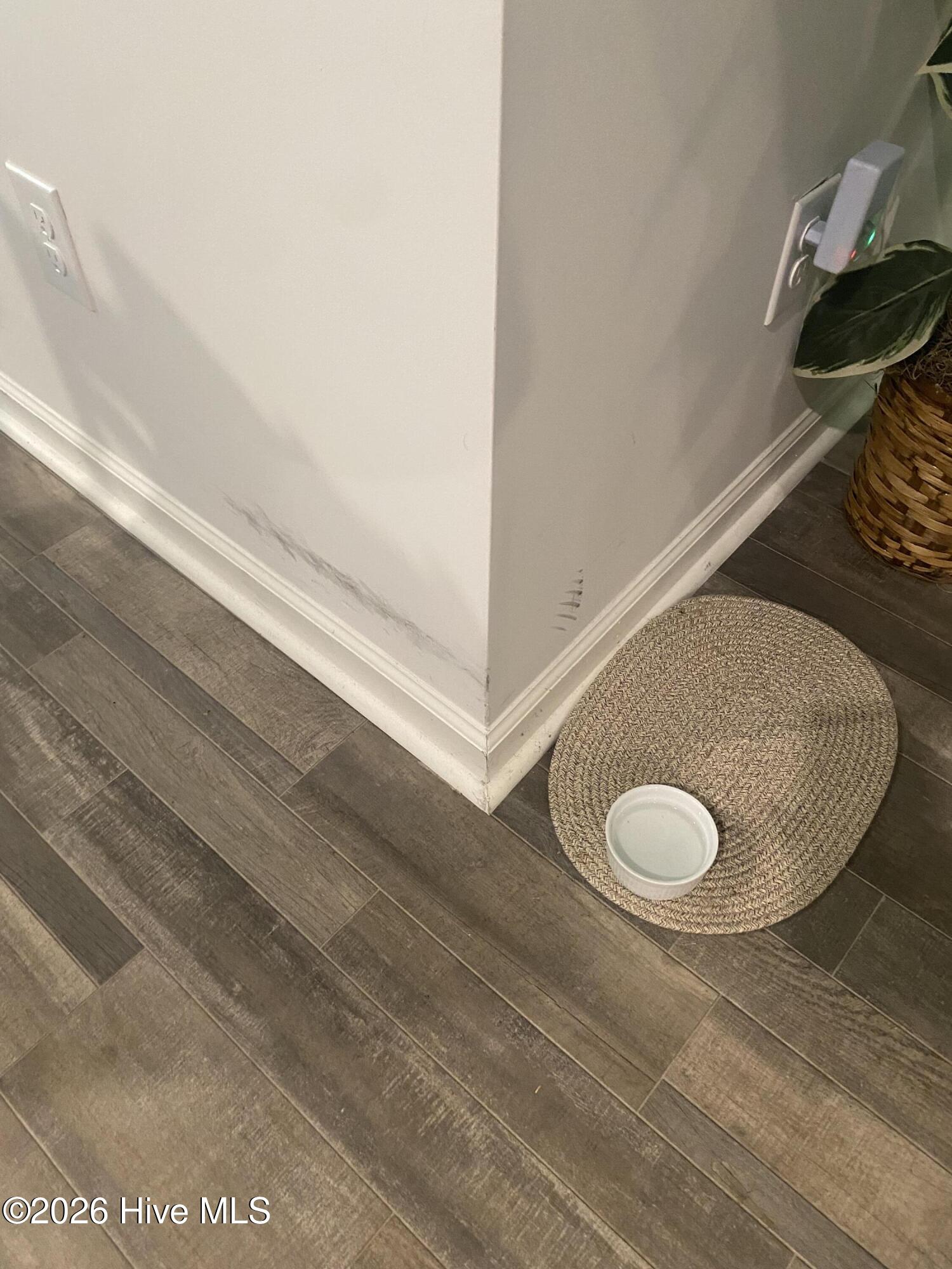 100566692 | Photo 54