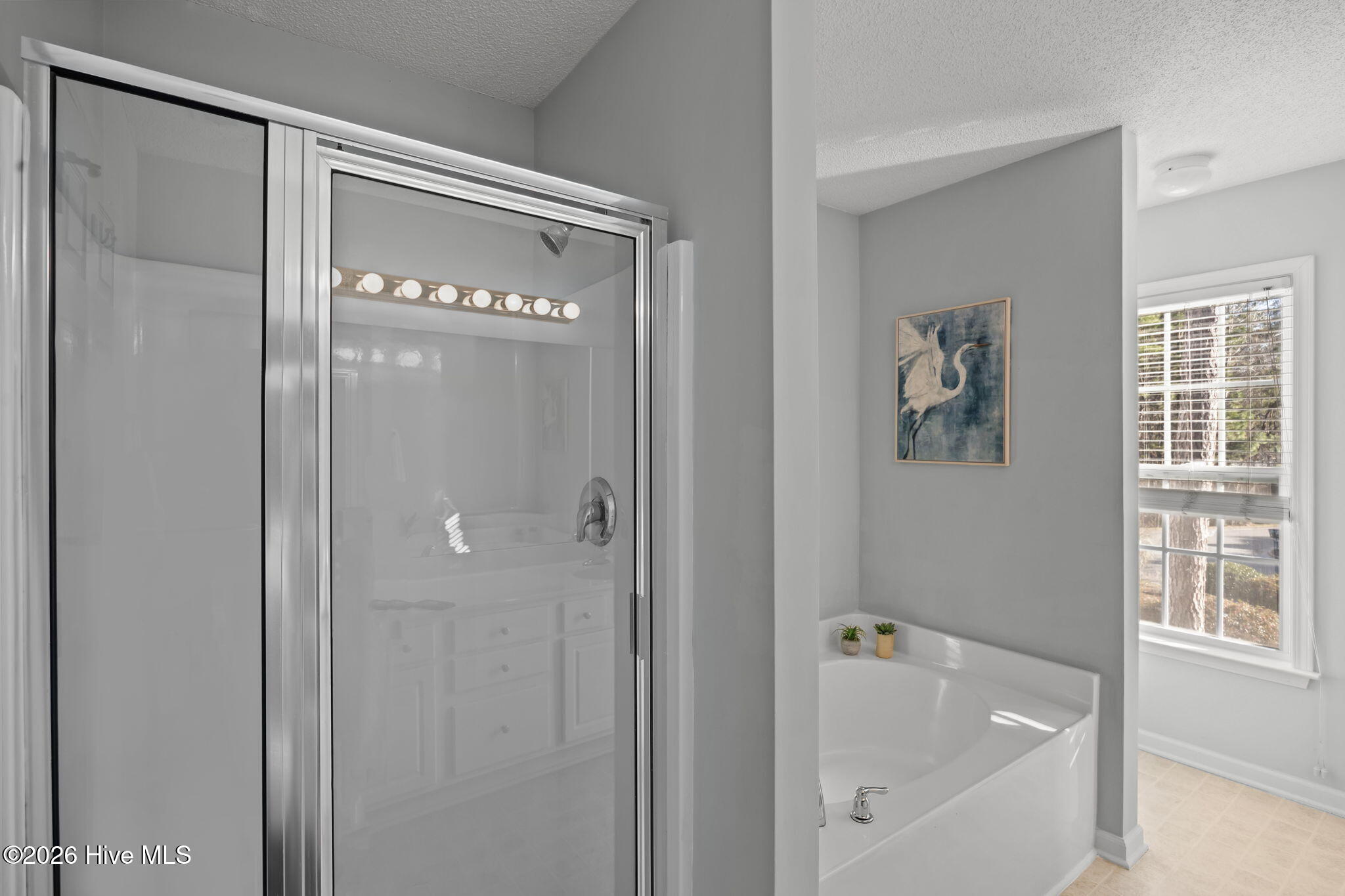 100558076 | Photo 28