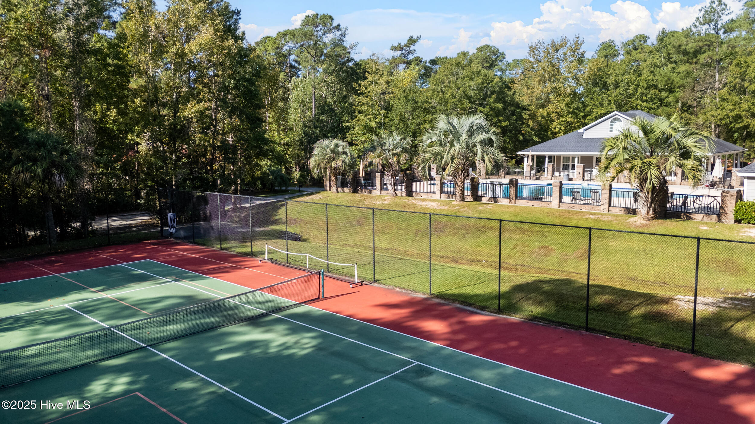 100534384 | Photo 60