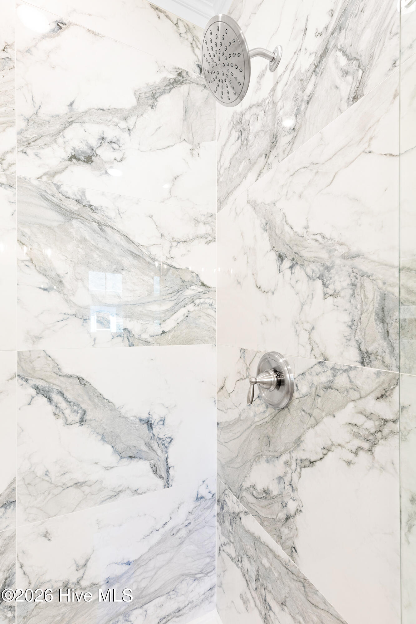 100565592 | Photo 42