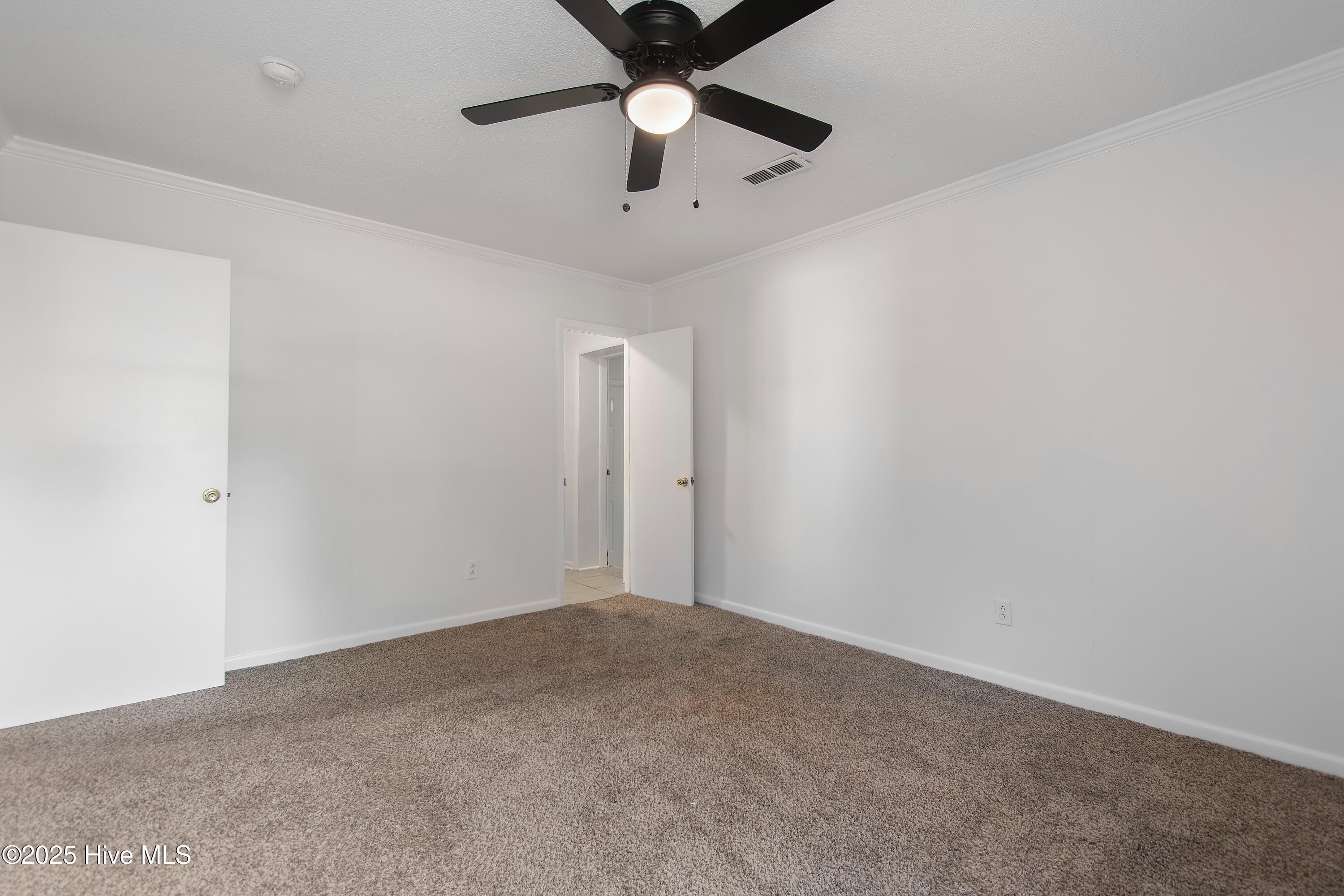 100542544 | Photo 20