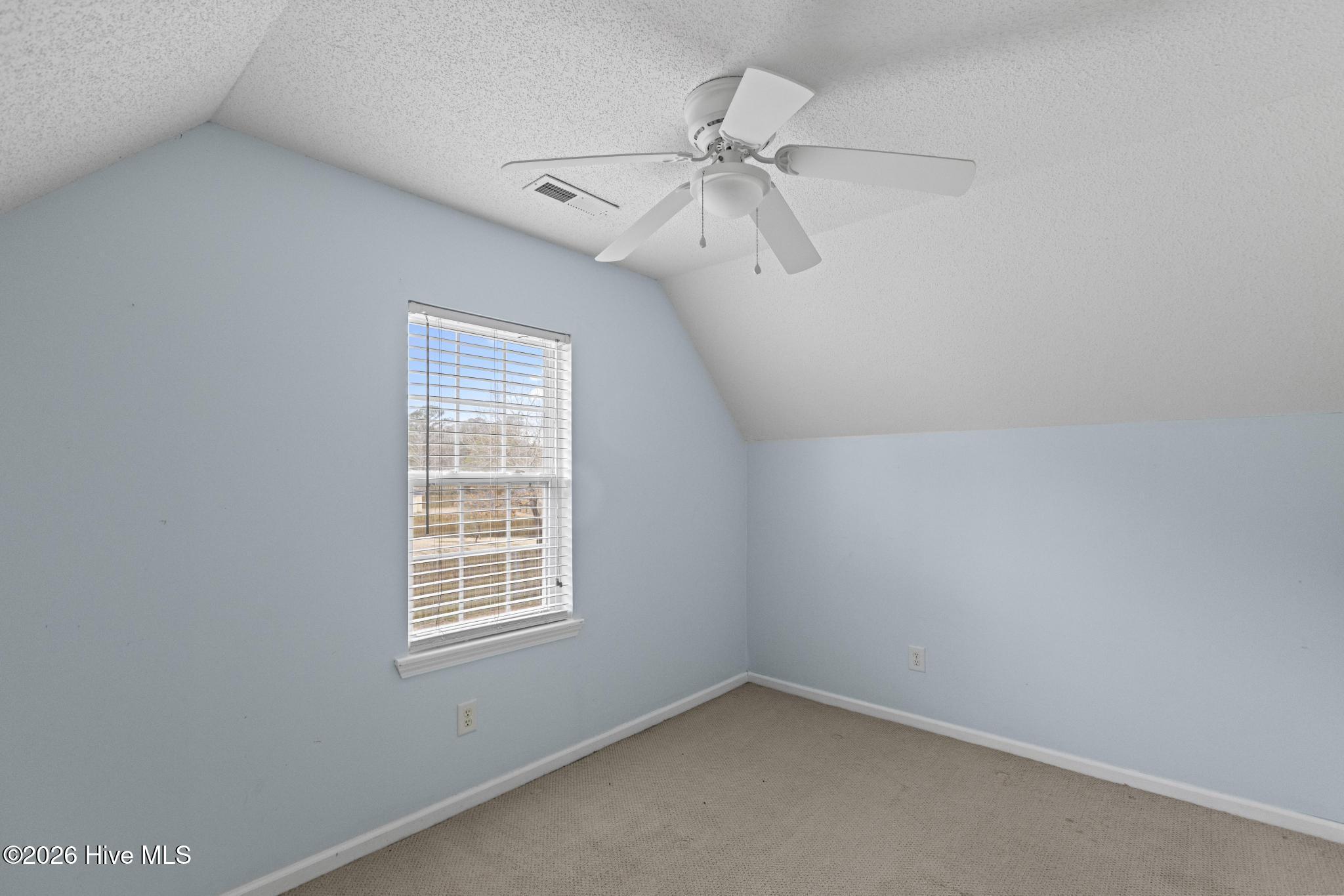 100556616 | Photo 27