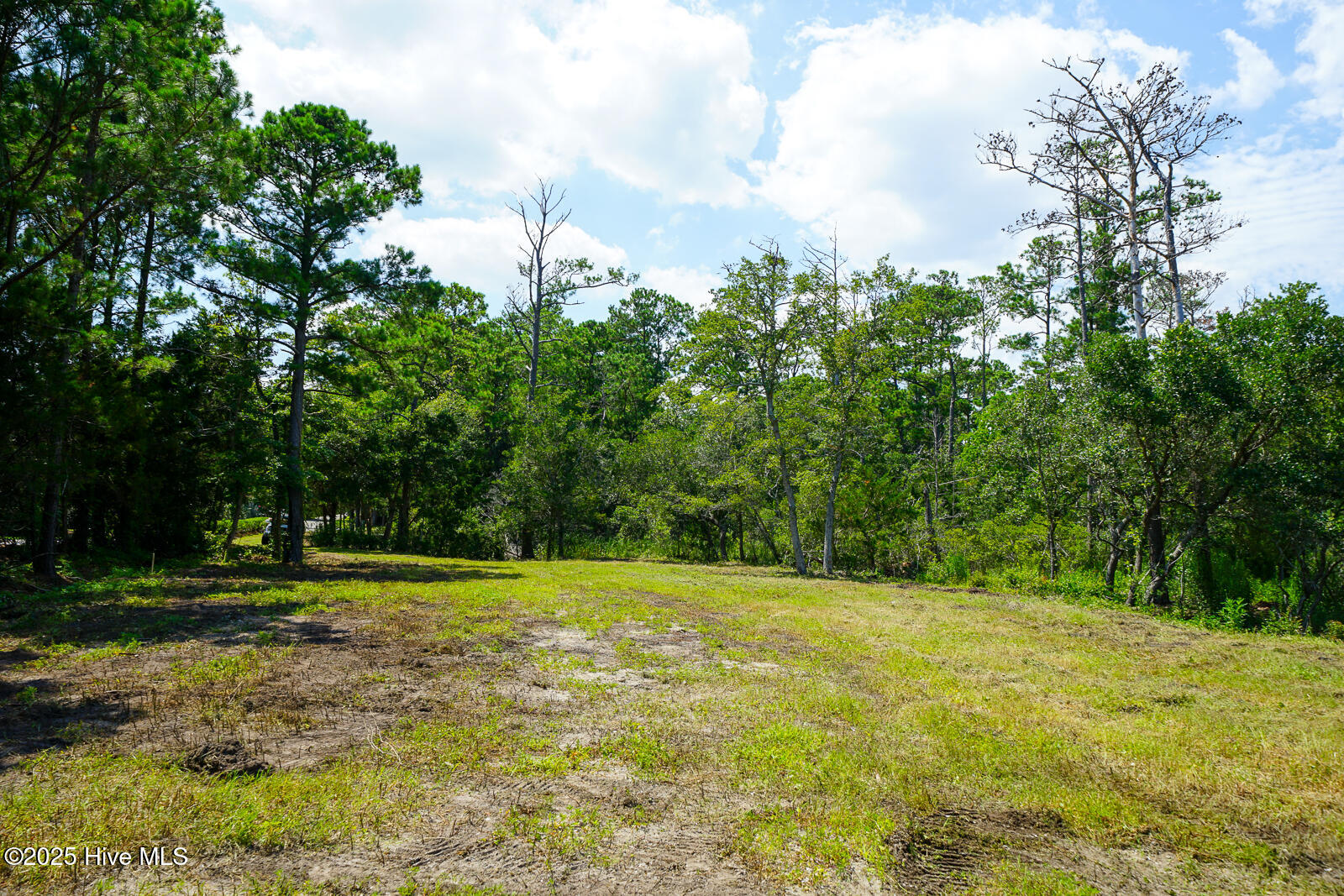 100515416 | Photo 11