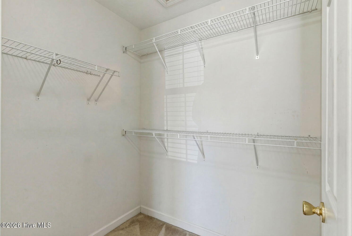 100555280 | Photo 22