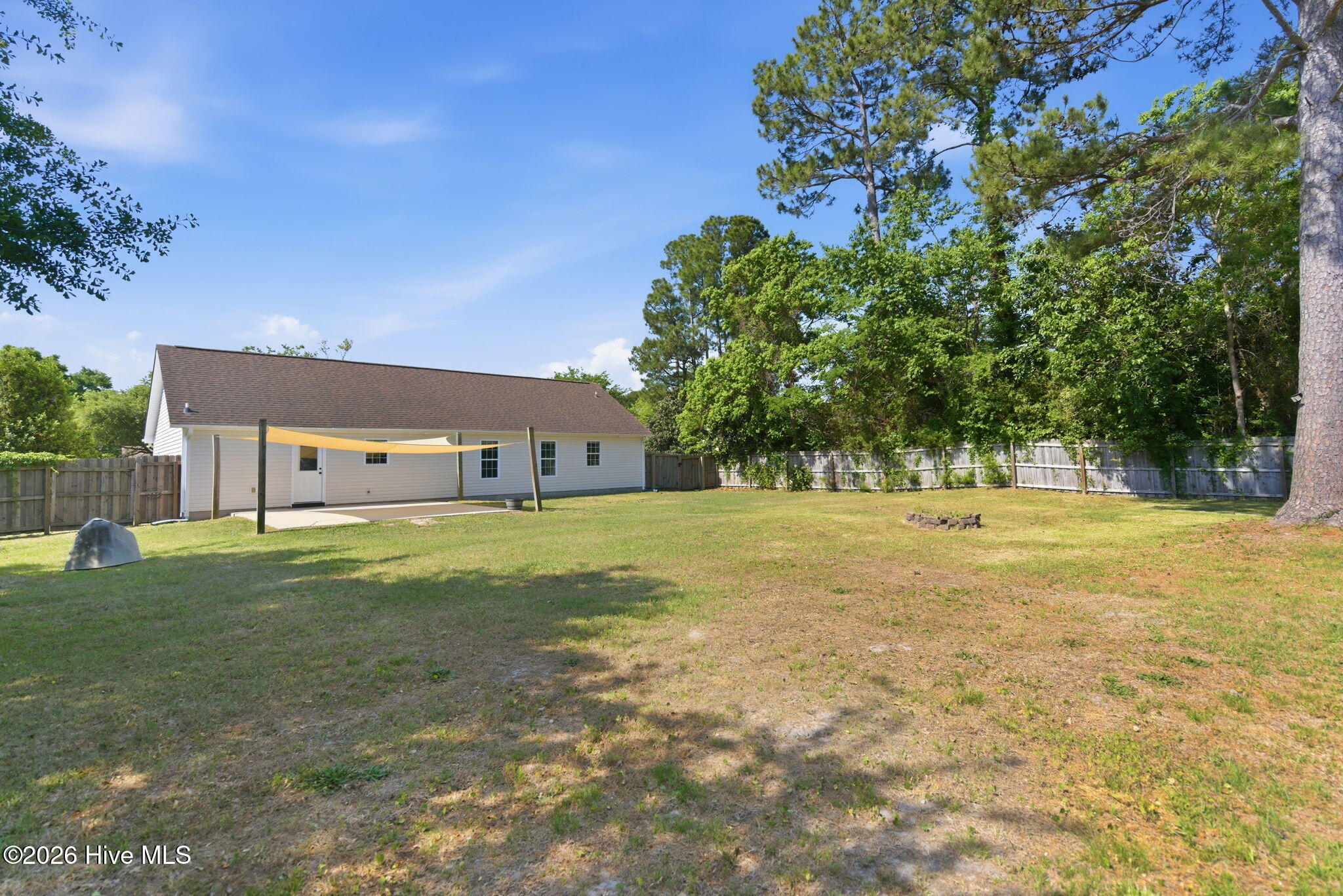 100570118 | Photo 38