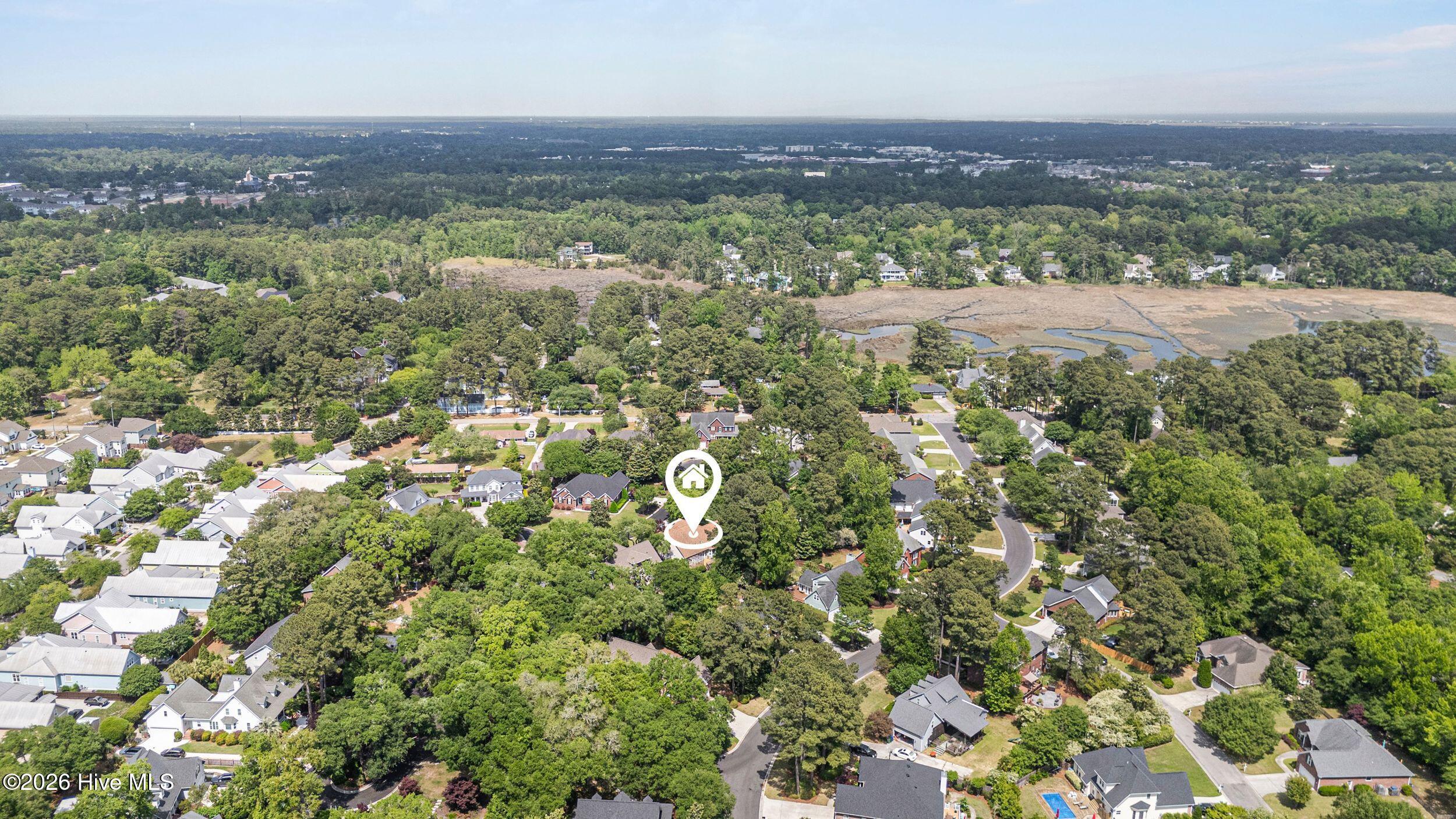 100569840 | Photo 59