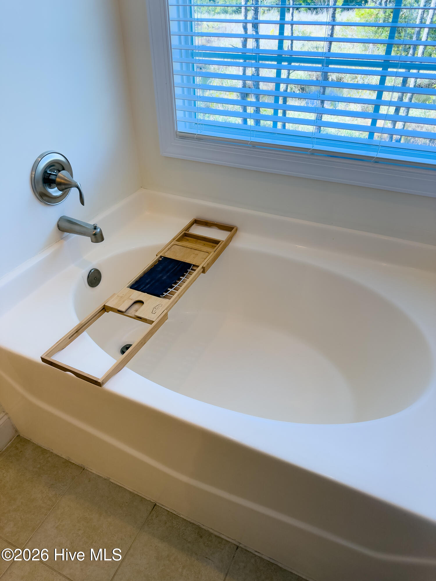 100563119 | Photo 46