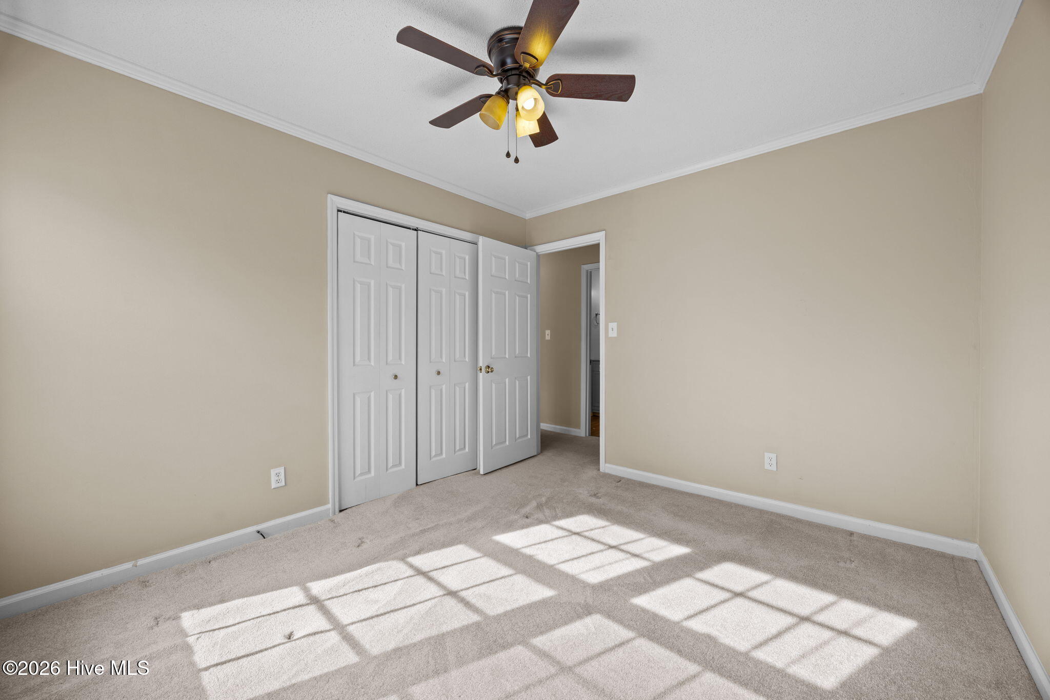 100550473 | Photo 21