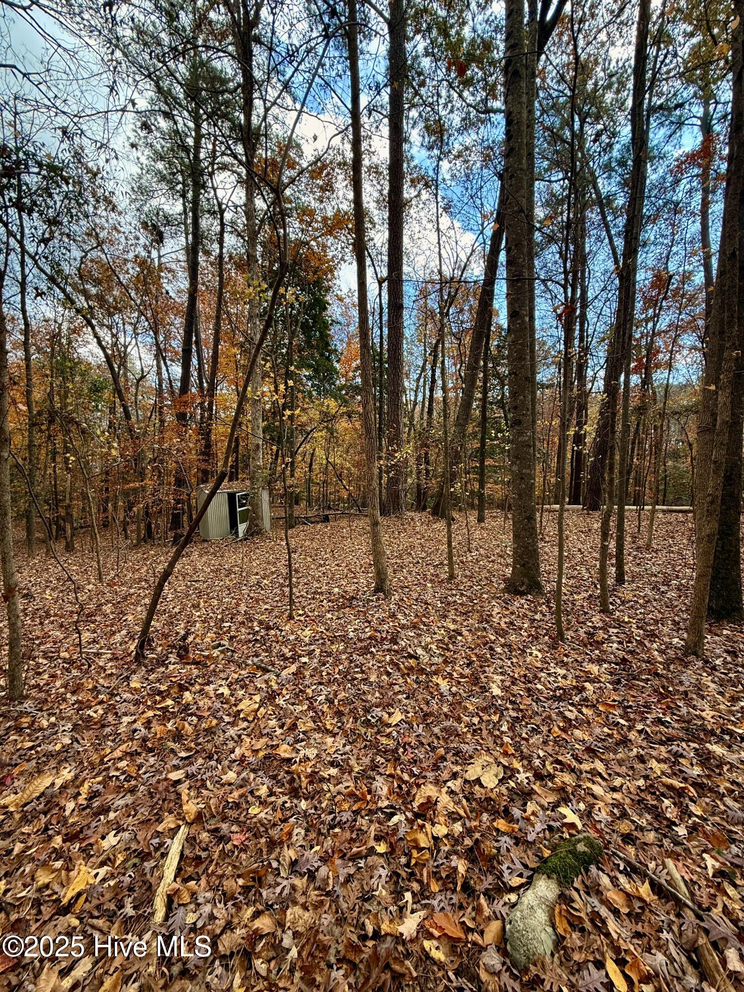 Homes for sale in Williamston, NC | 0 Williams Rd, Williamston, NC 27892 | MLS# 100543369