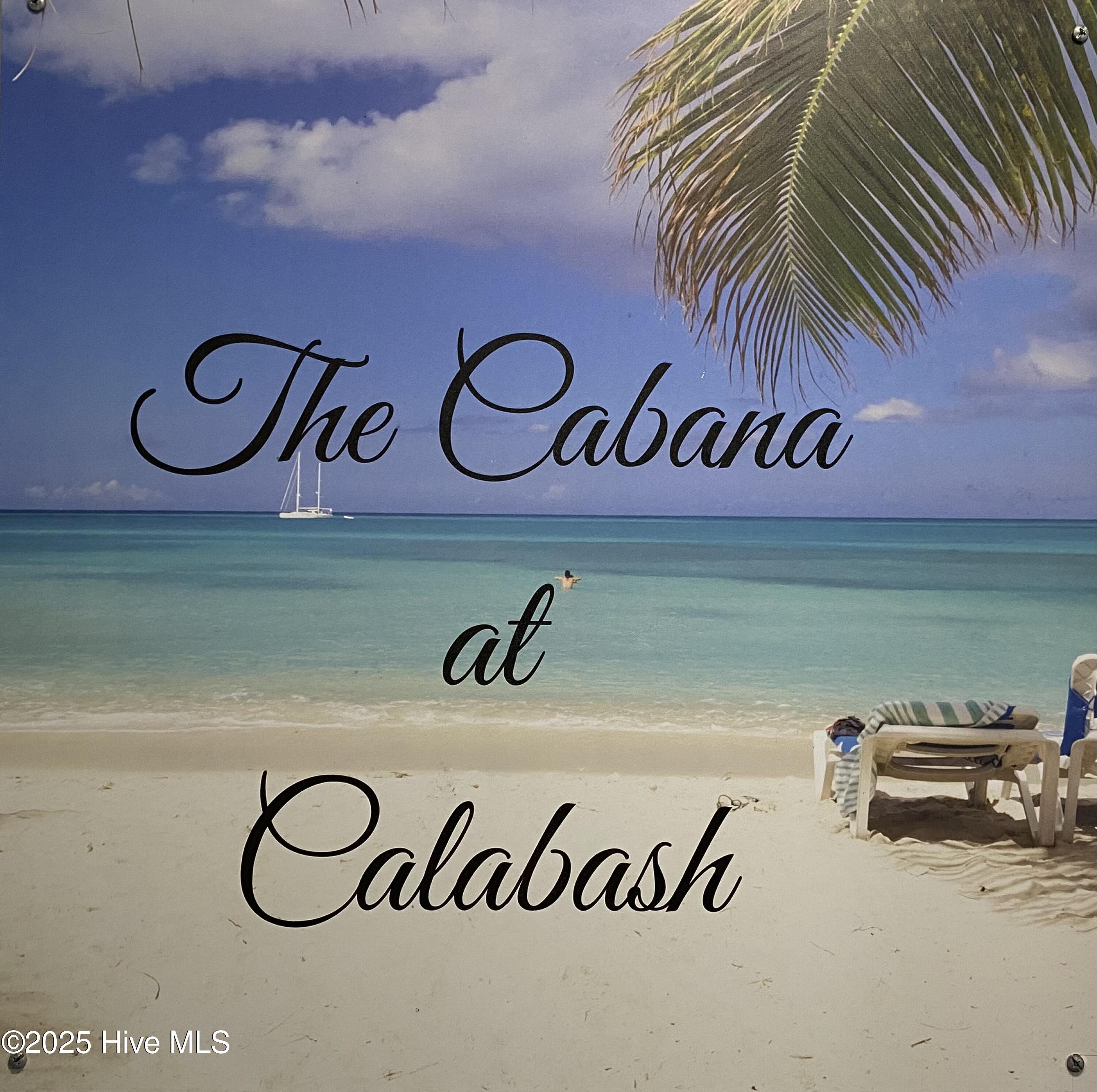 100527241 | Photo 48