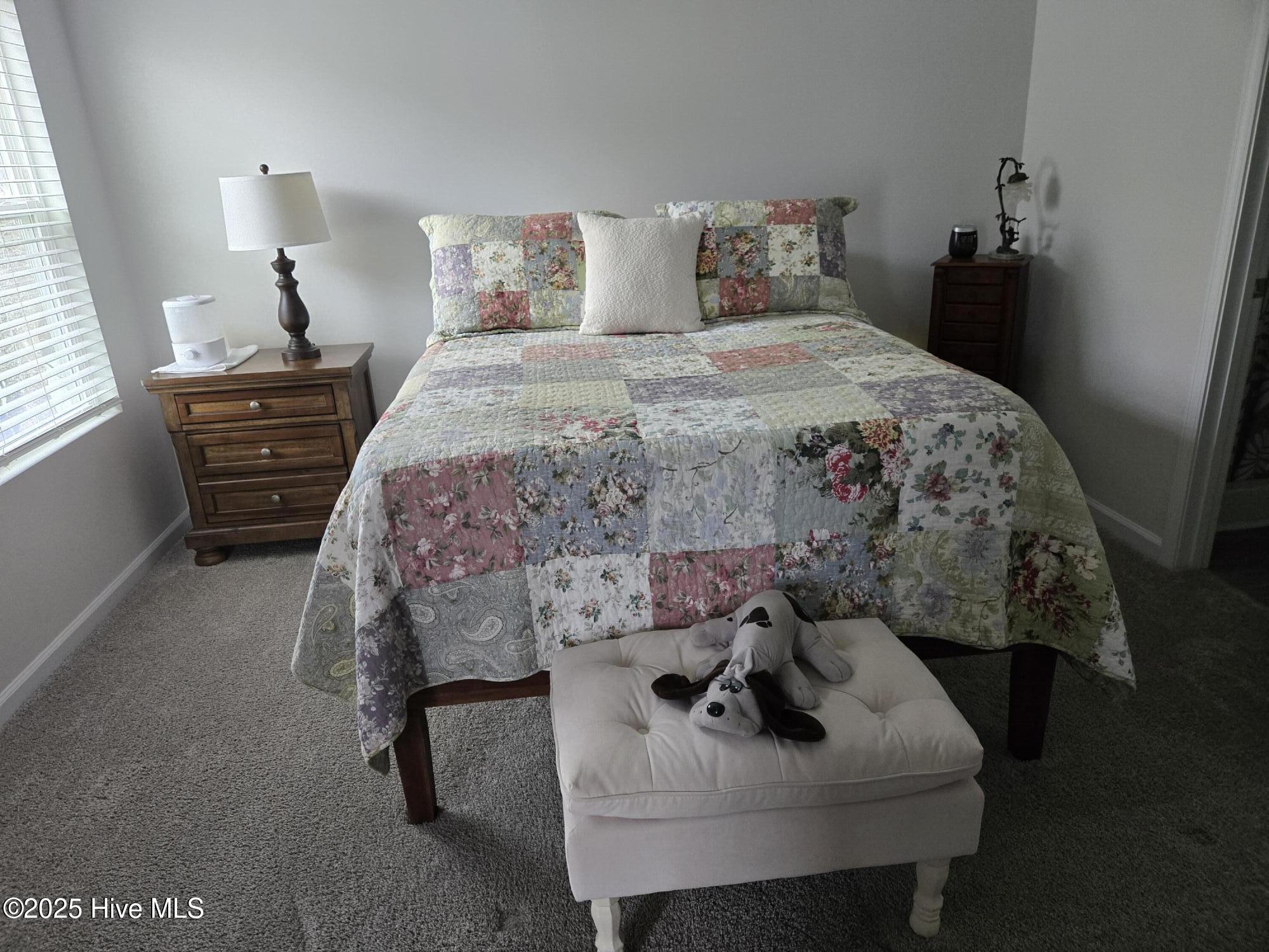 100557853 | Photo 14