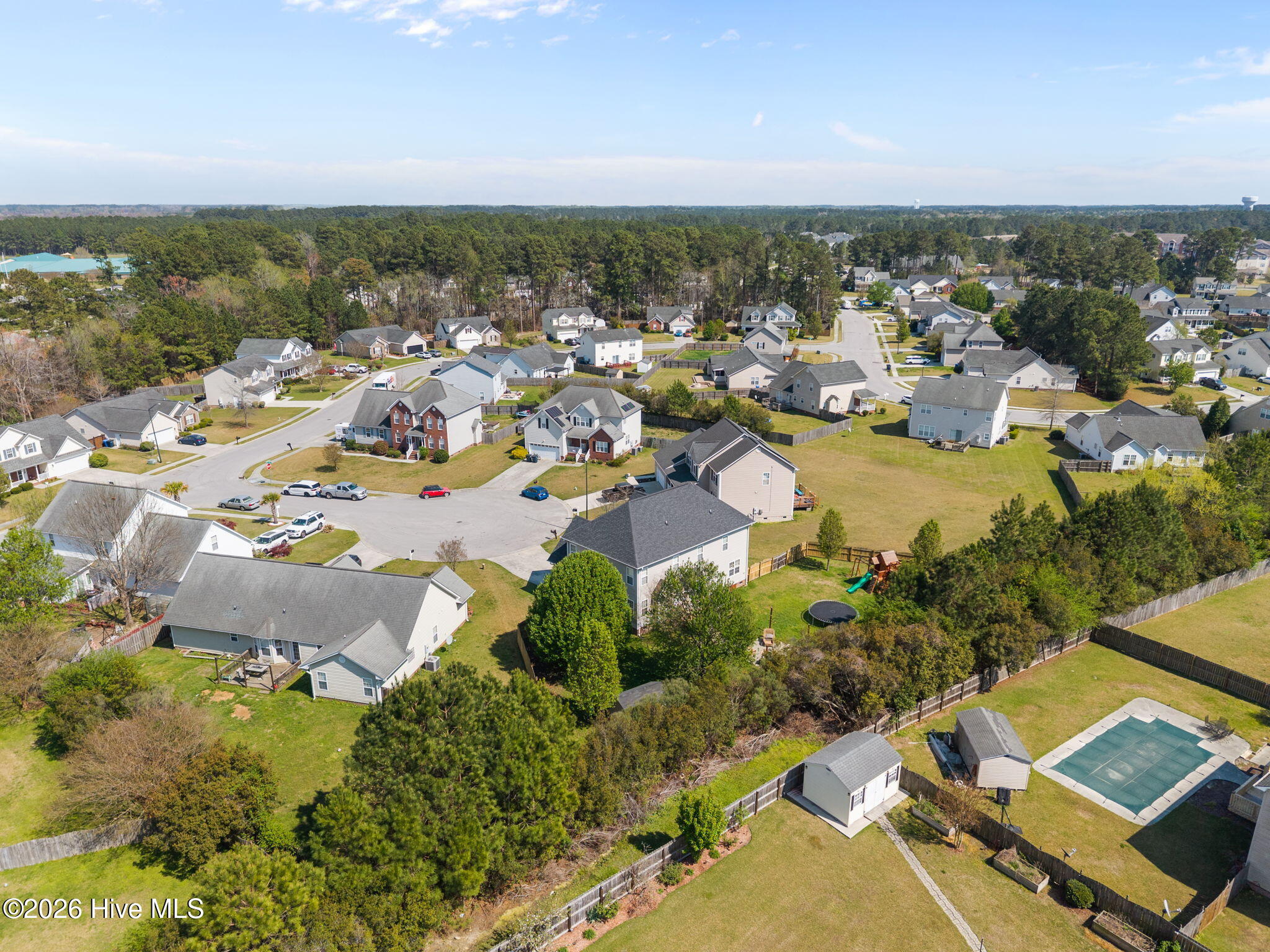 100564262 | Photo 11