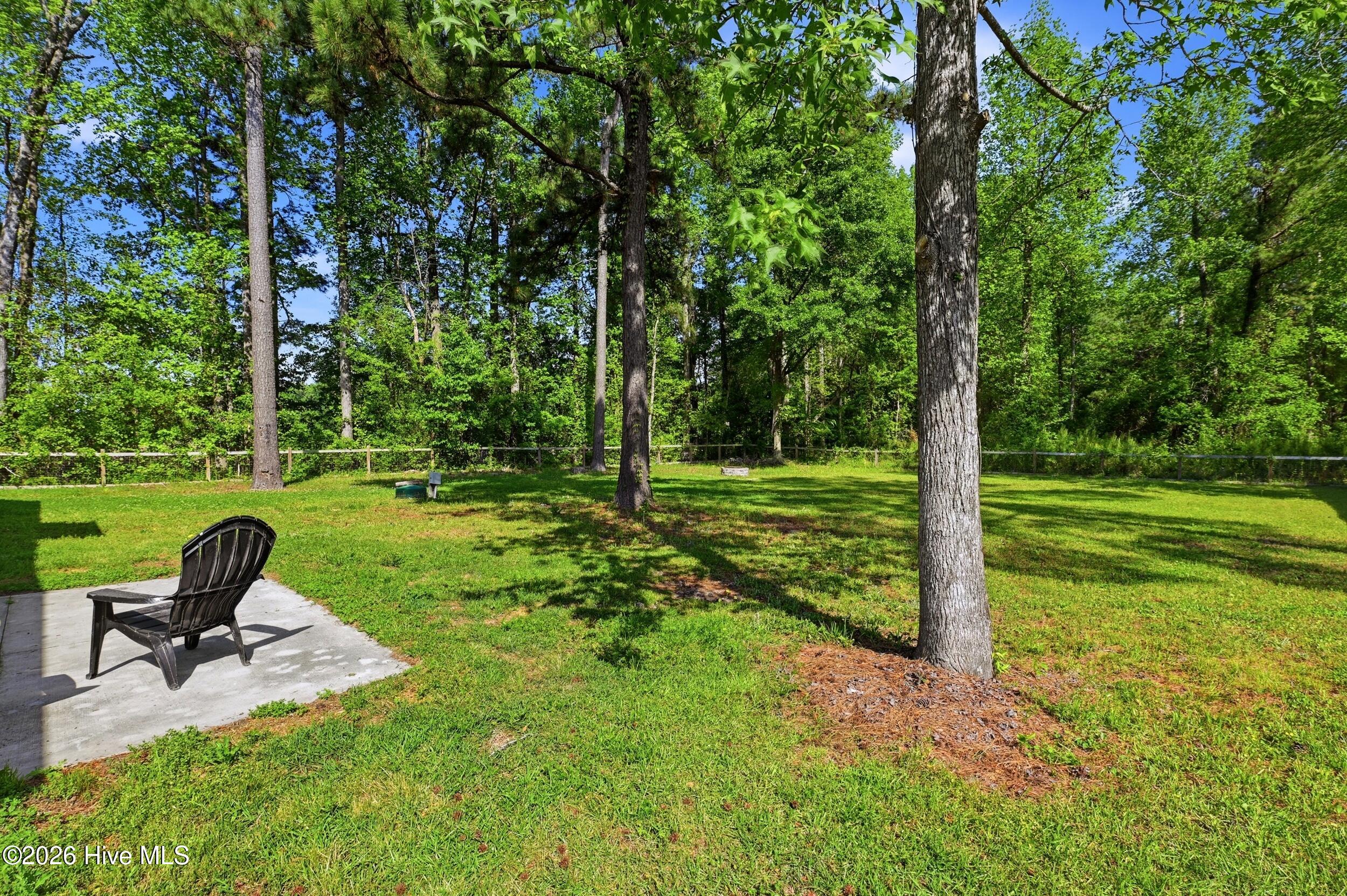 100568346 | Photo 38