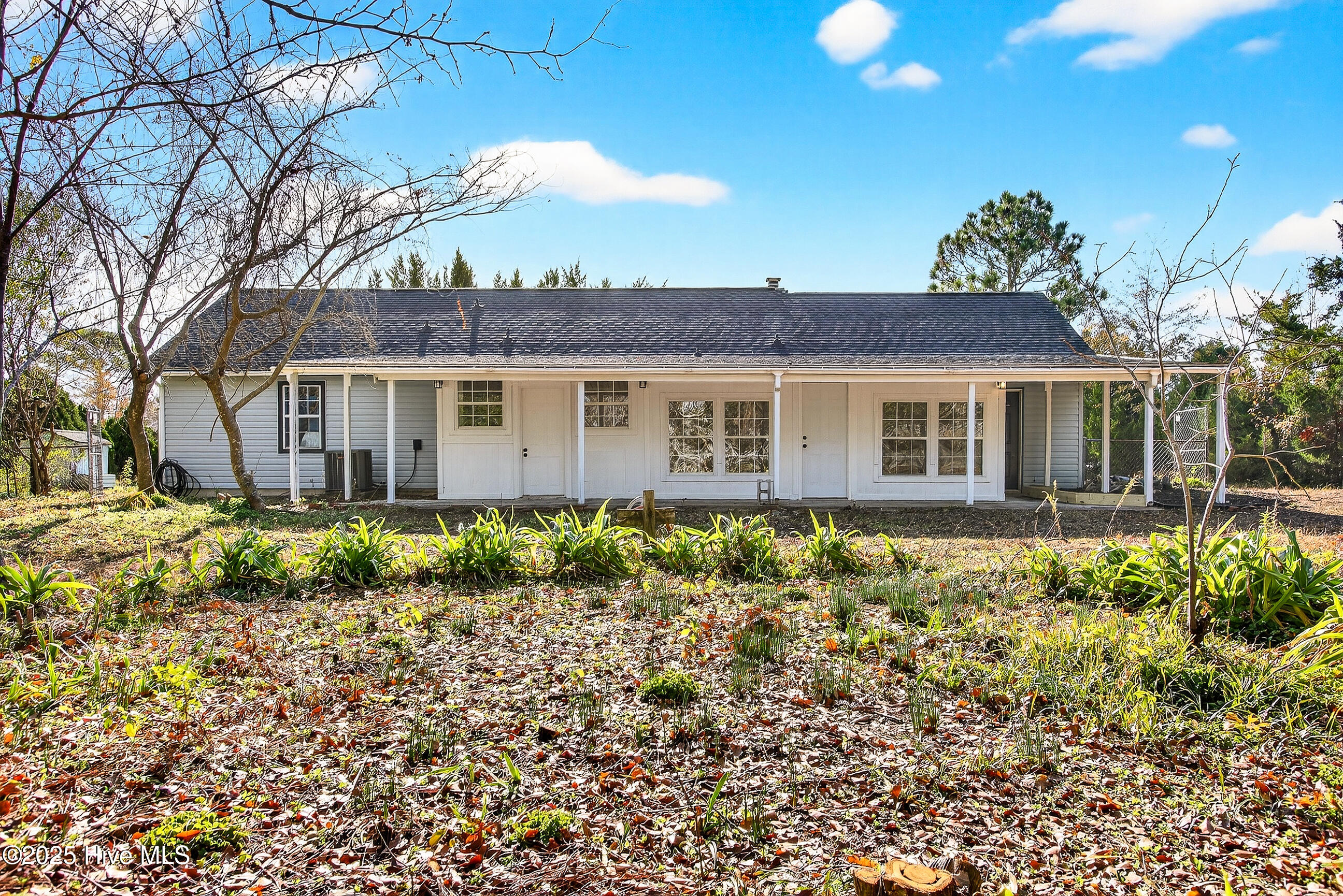 100543296 | Photo 21