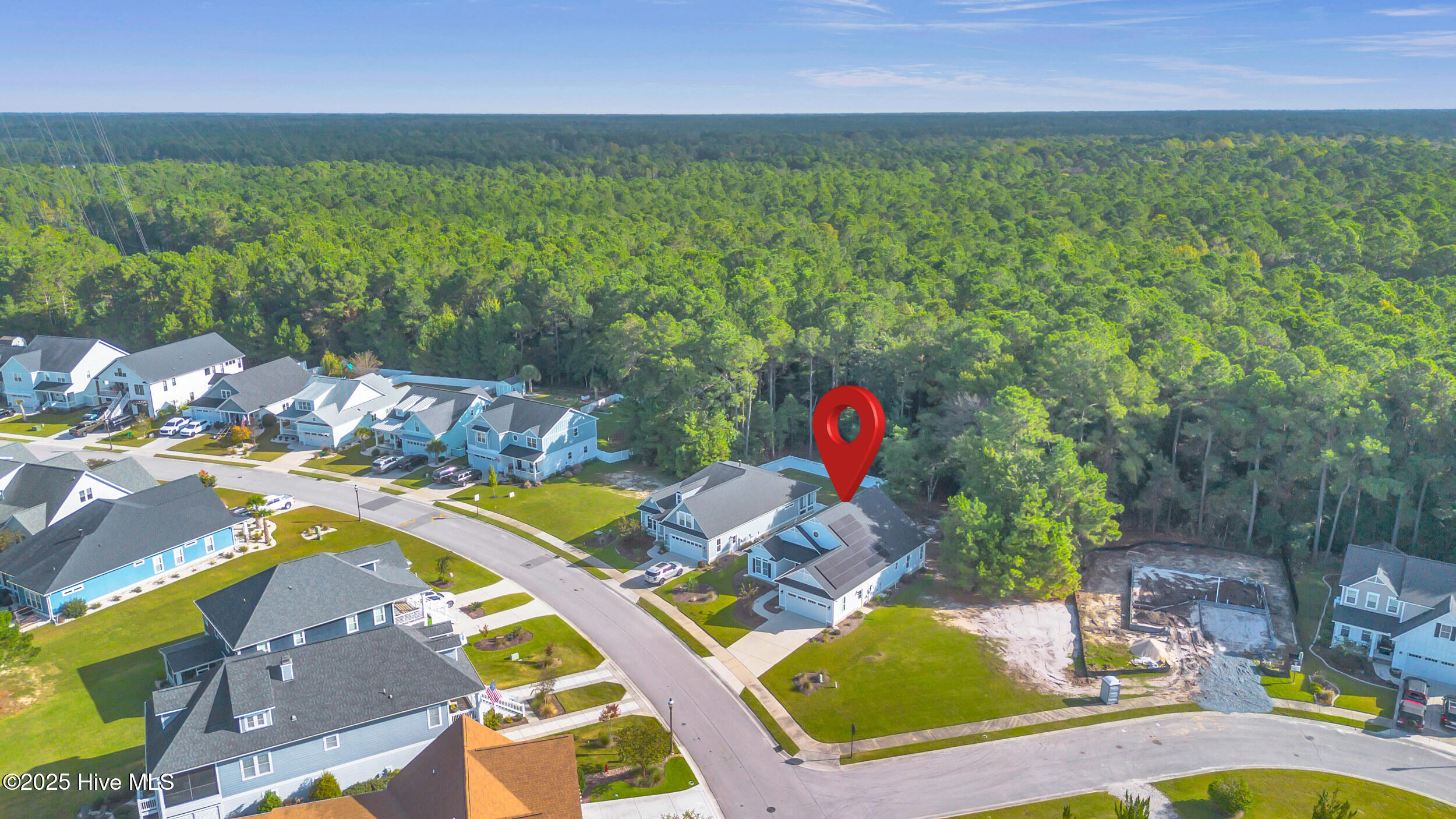 100535117 | Photo 53