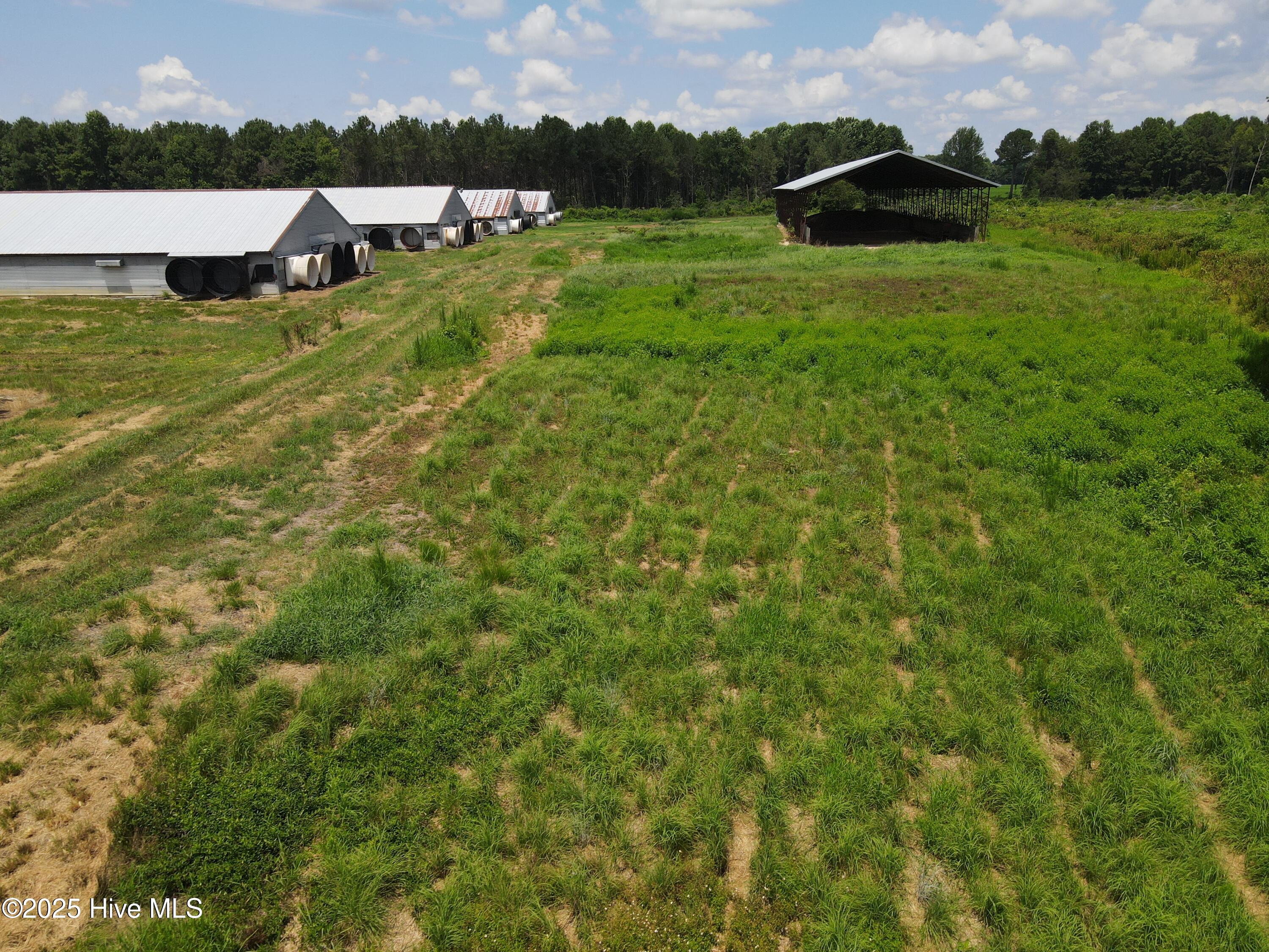 Tbd E Woodrow School Road, Murfreesboro, NC, 27855