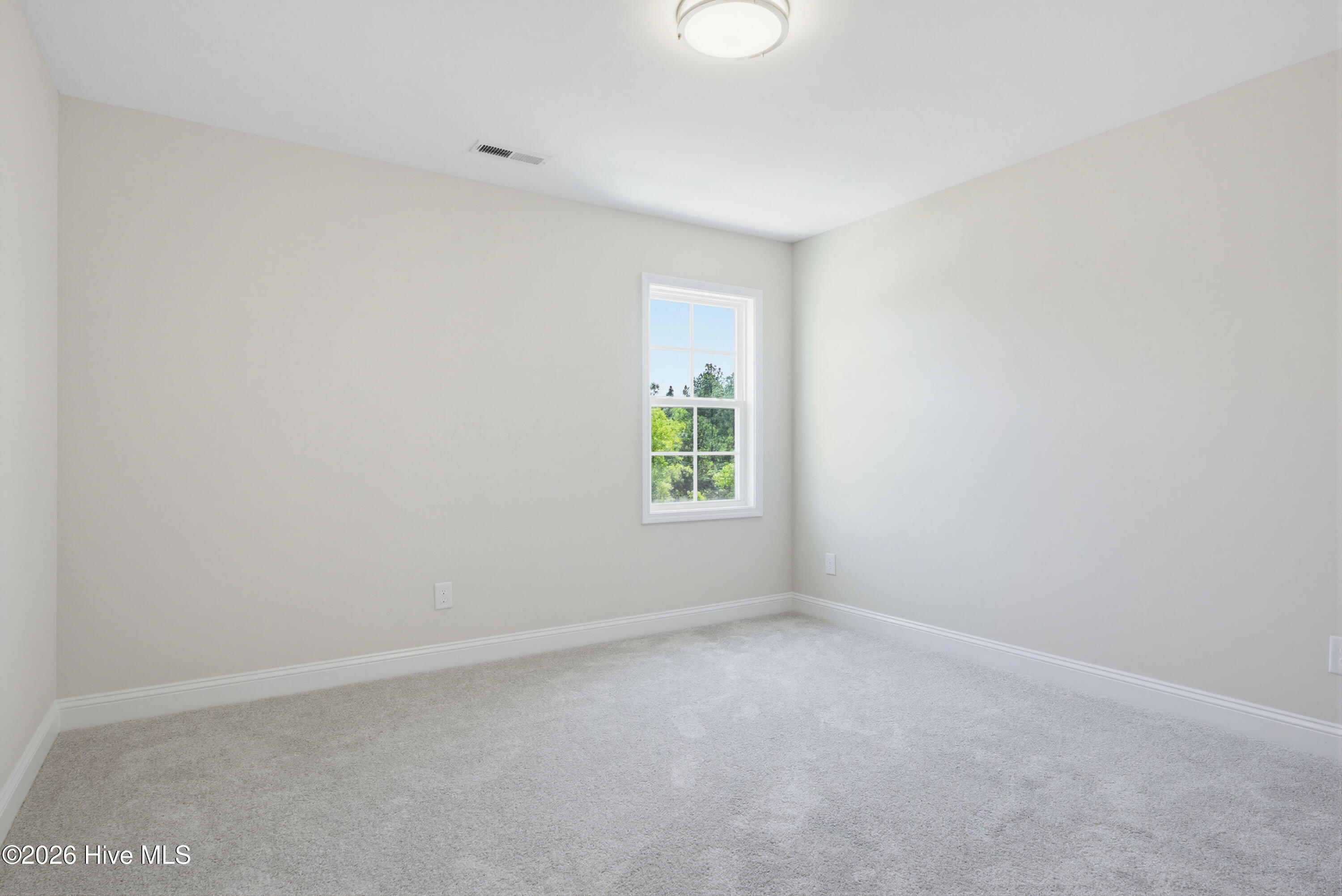 100567611 | Photo 18