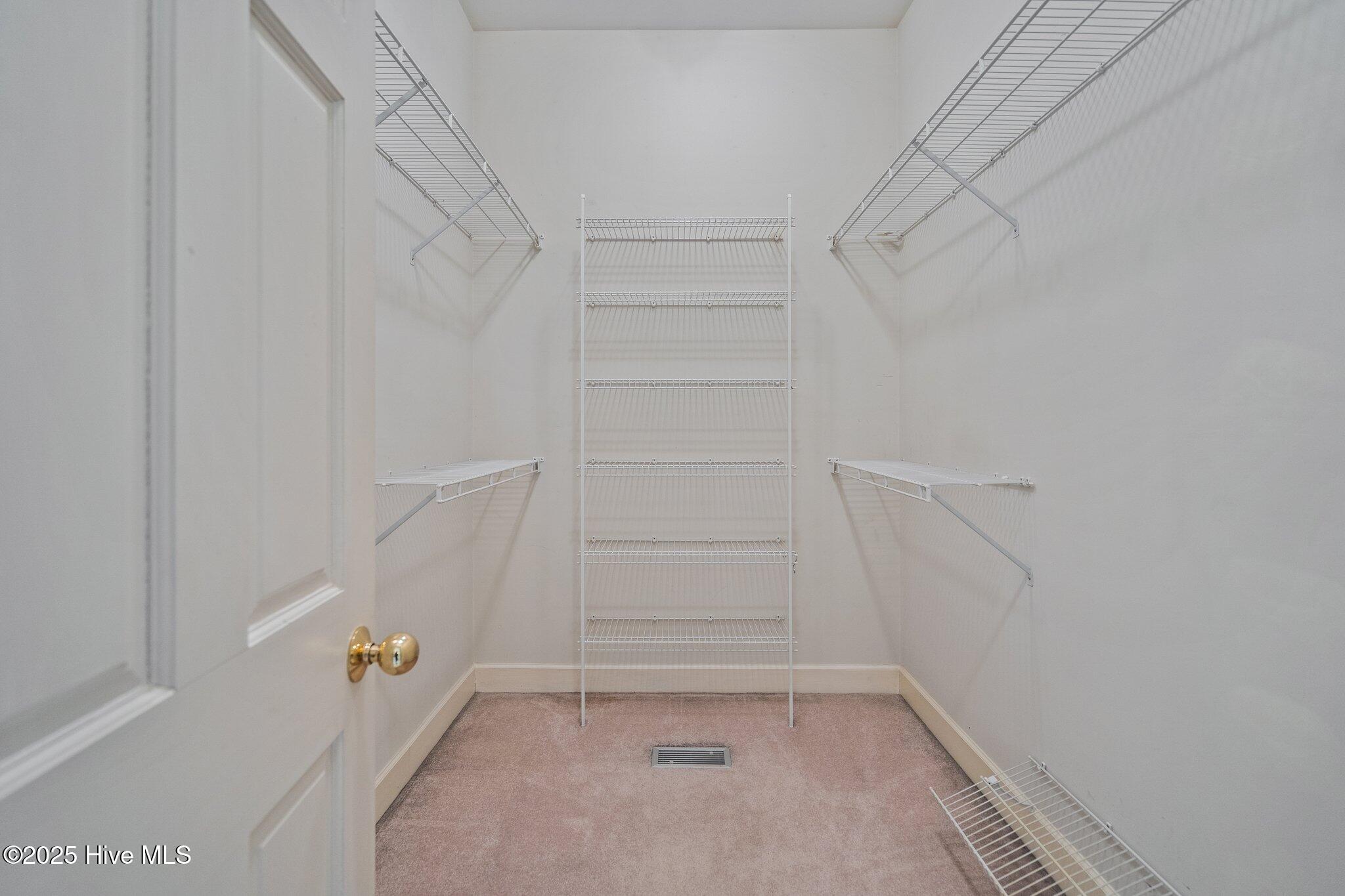 100536215 | Photo 50