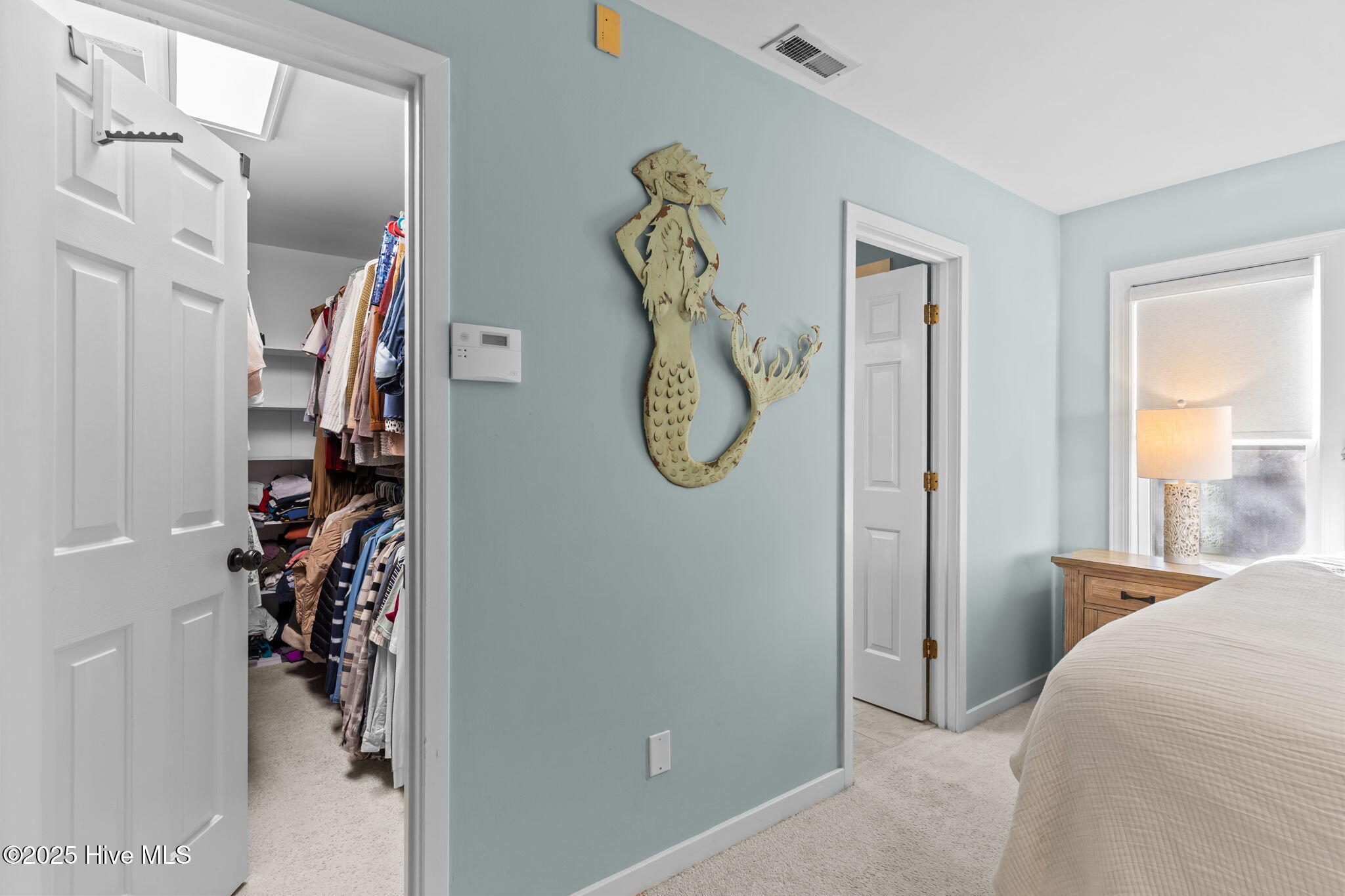 100537422 | Photo 29