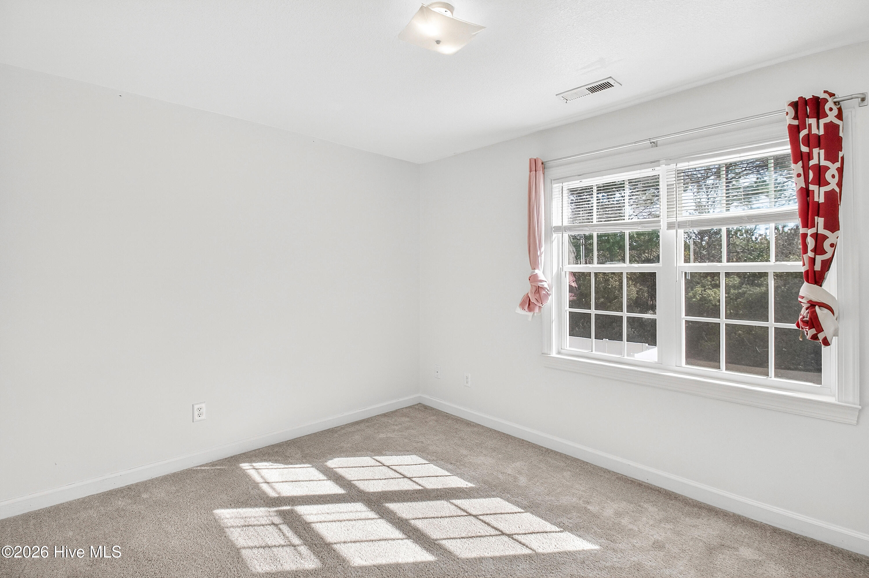 100539806 | Photo 11