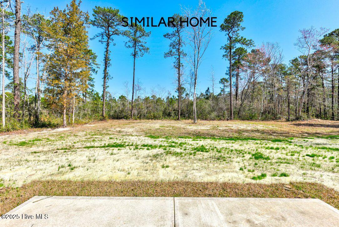 100498465 | Photo 35