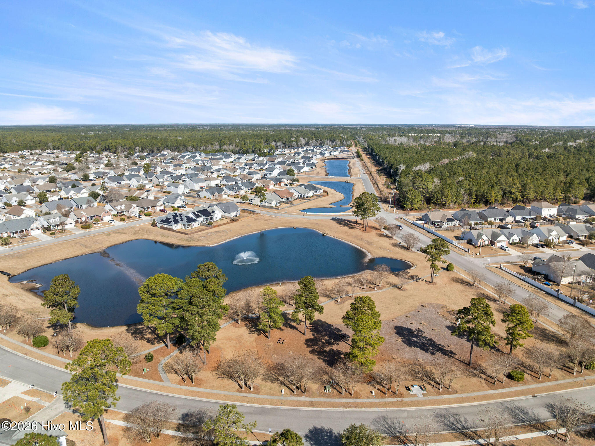 100563153 | Photo 37