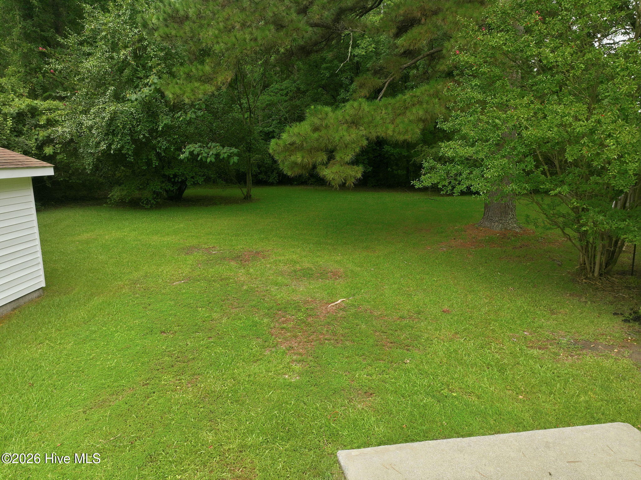 100588963 | Photo 18