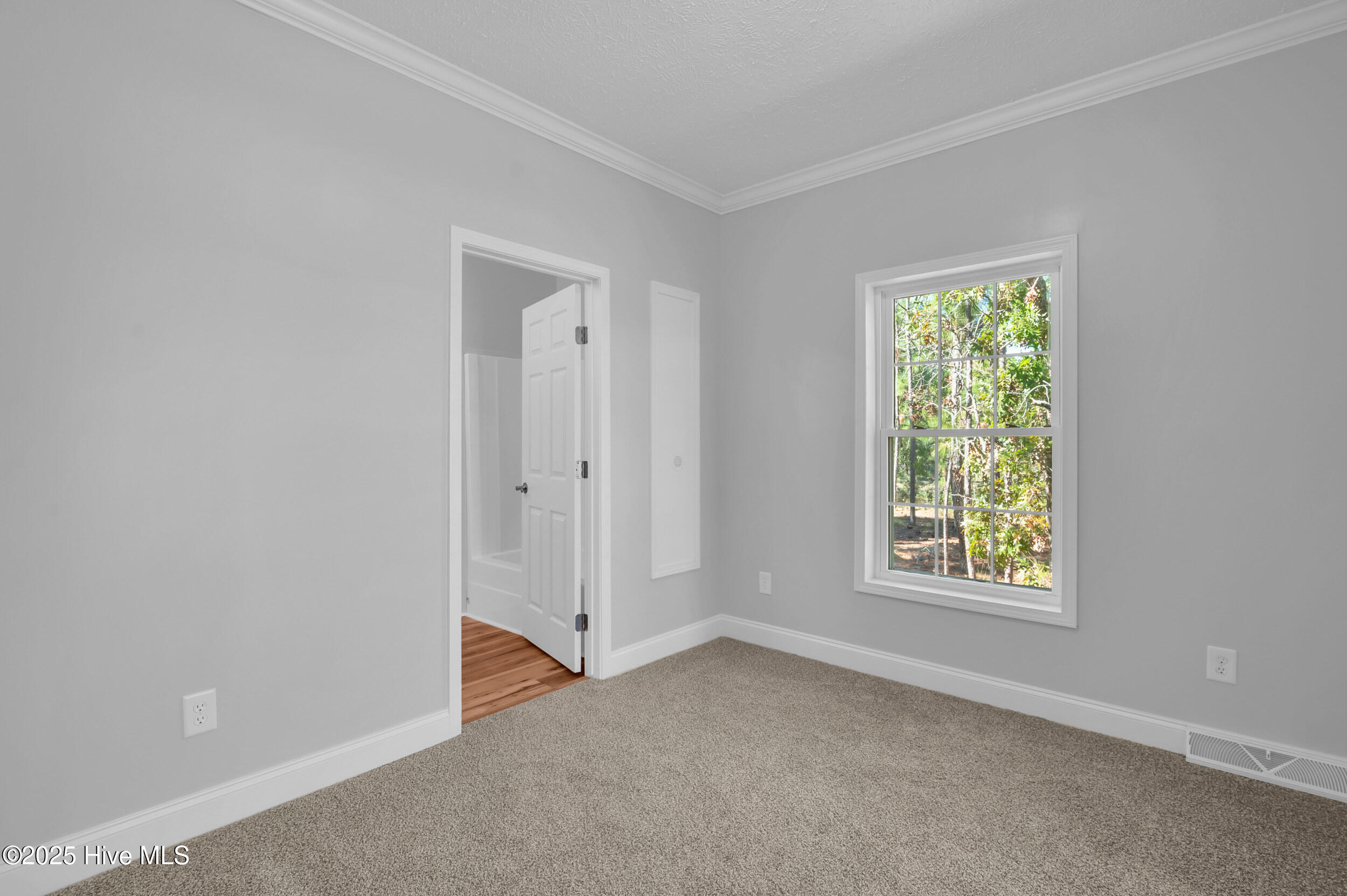 100537986 | Photo 27