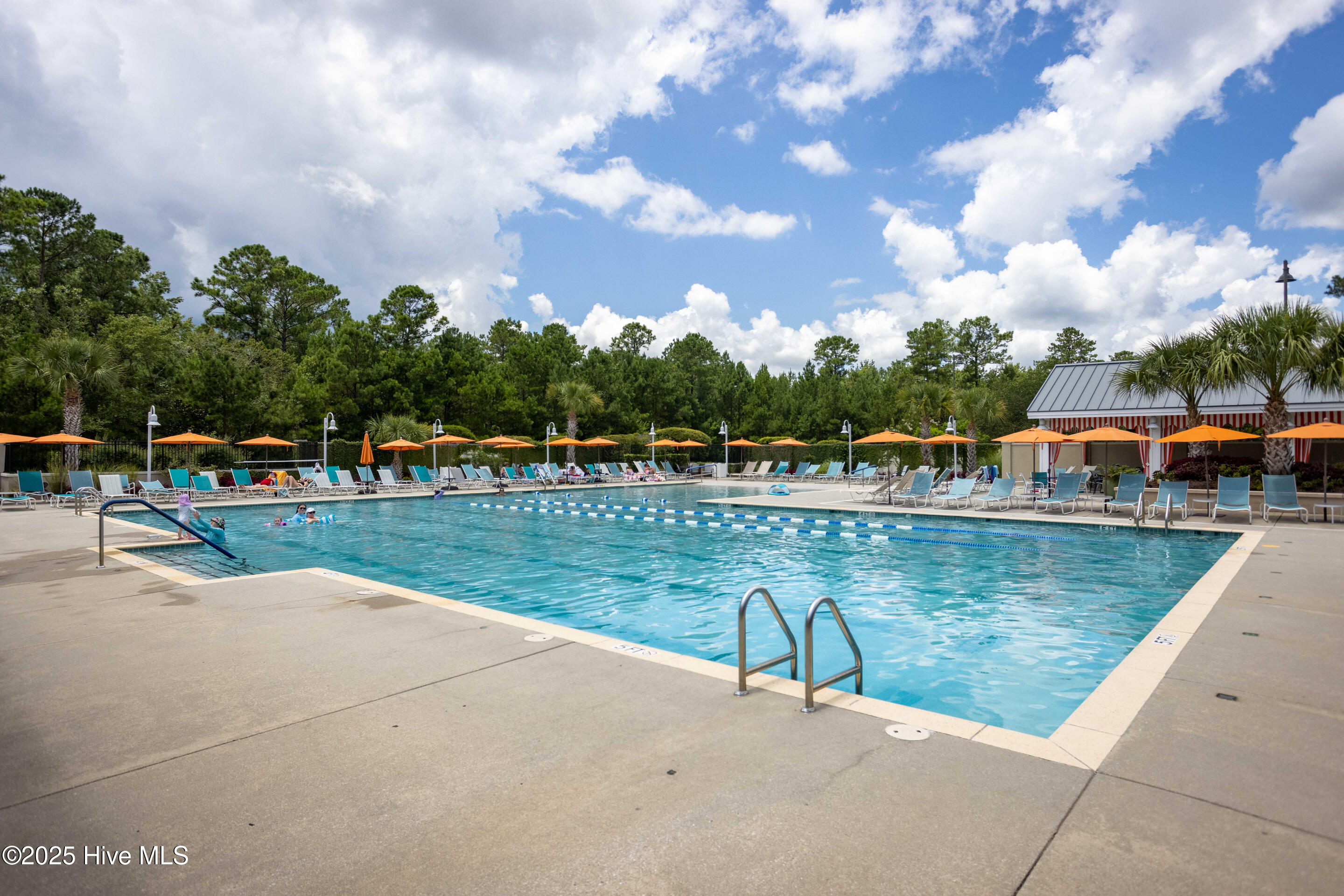 100497870 | Photo 32