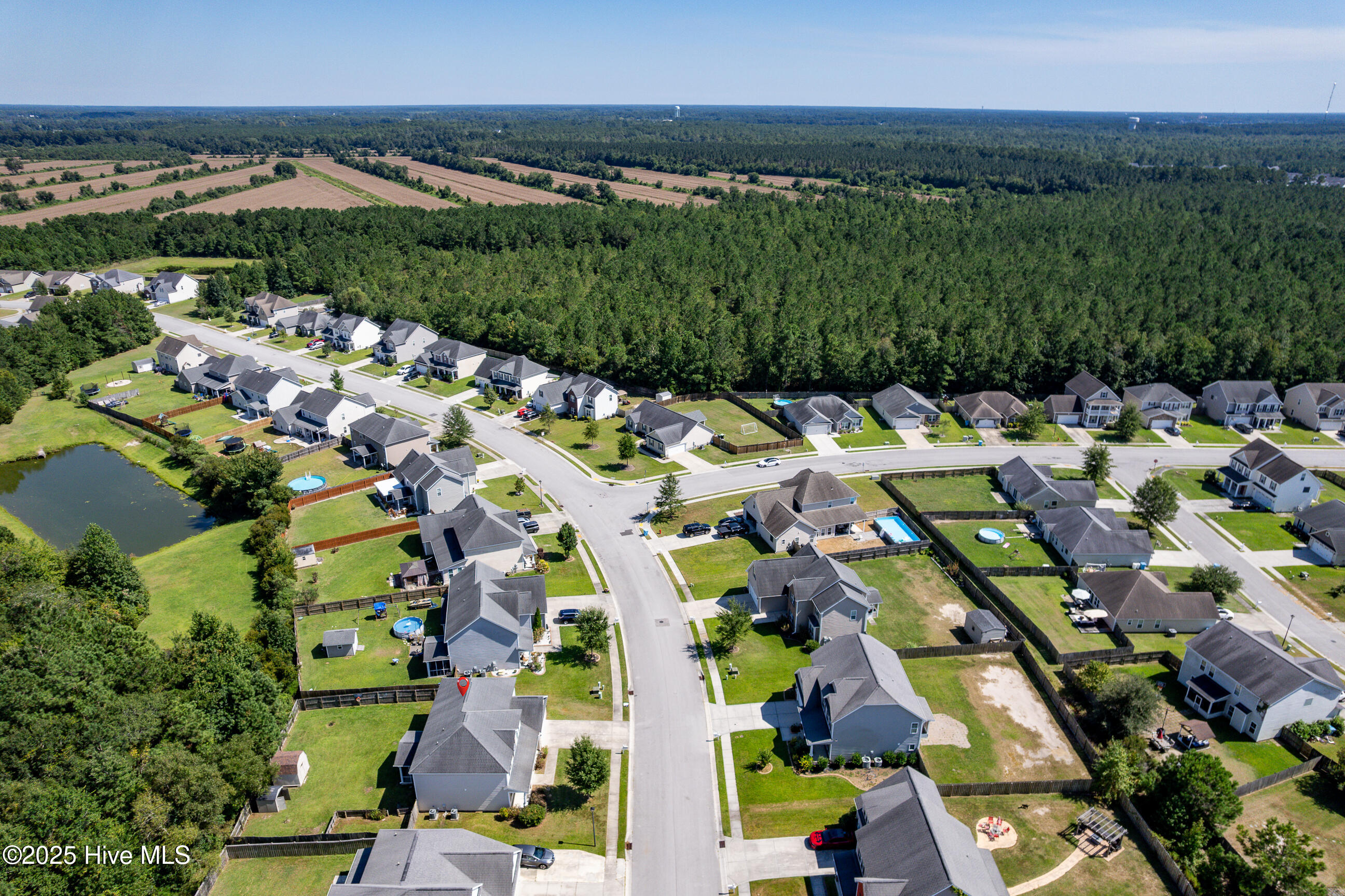 100534668 | Photo 45