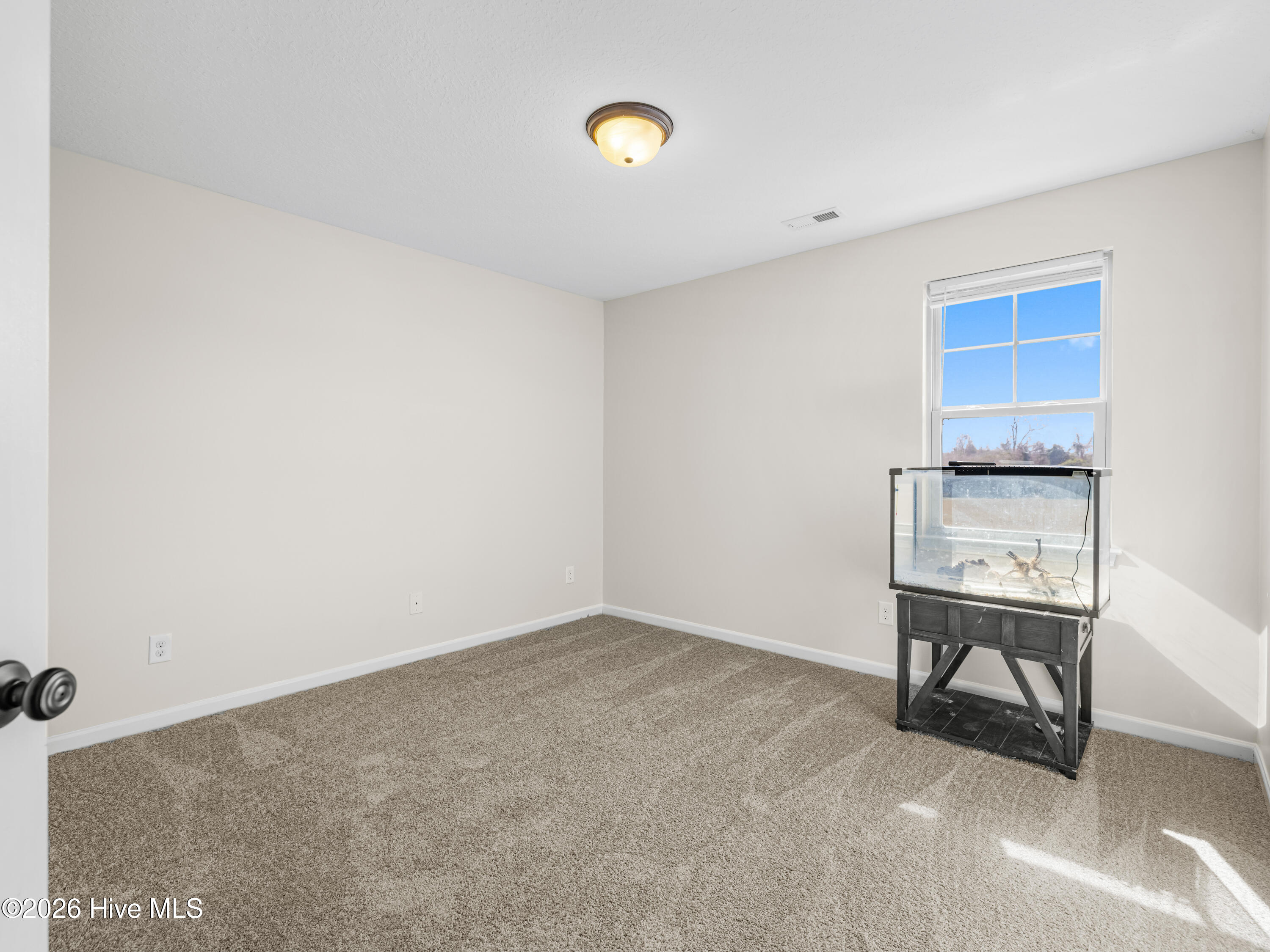 100554822 | Photo 37