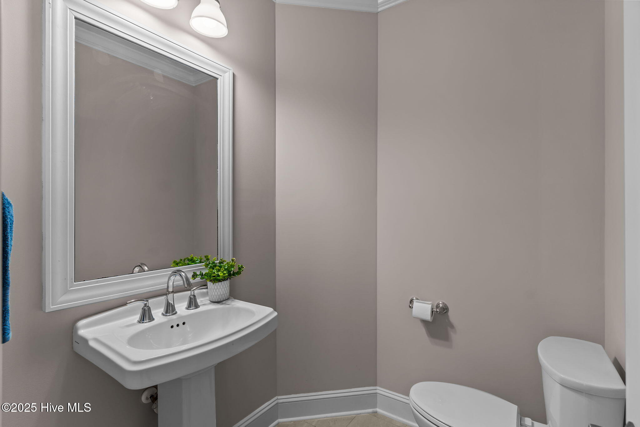 100536953 | Photo 26