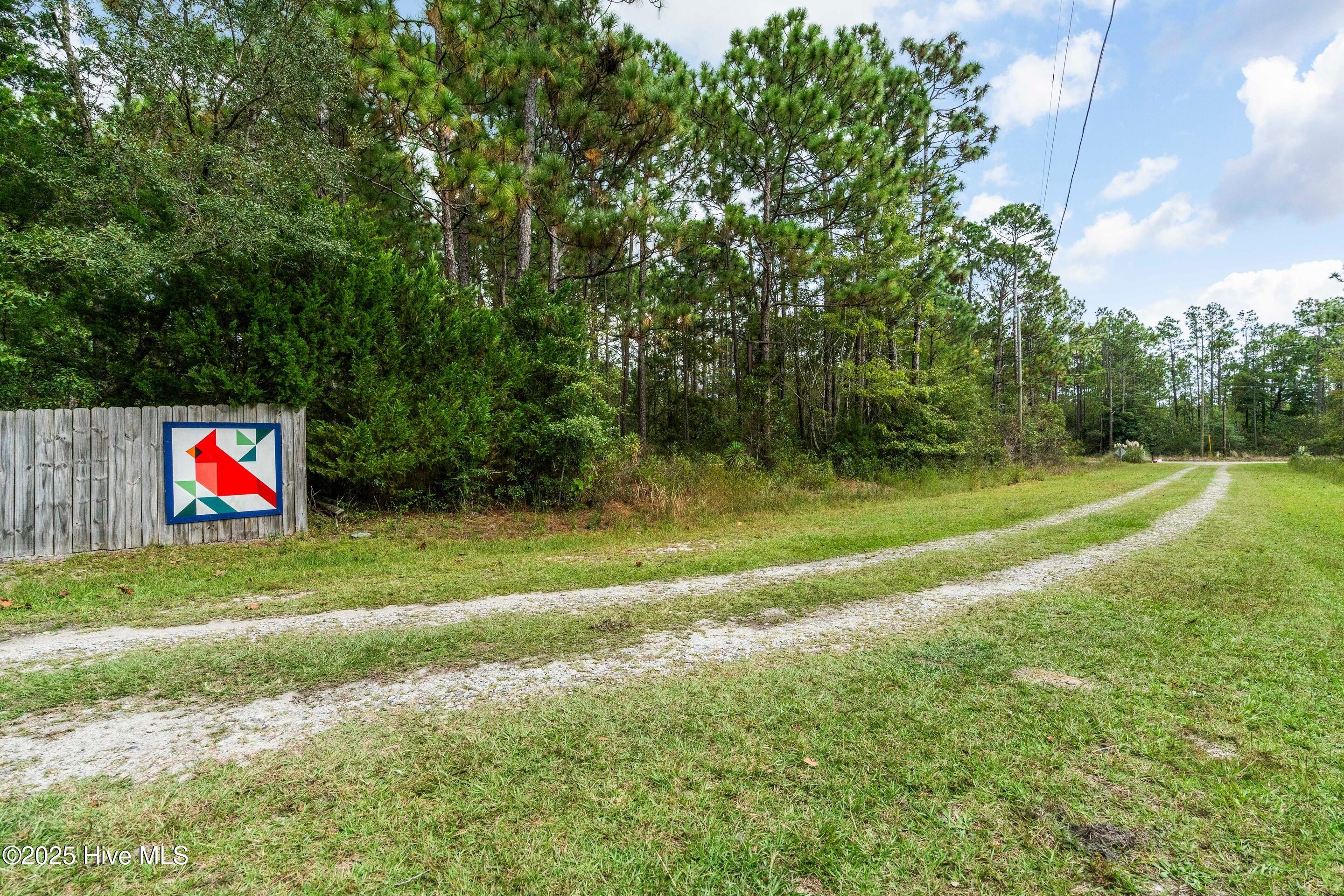 100535667 | Photo 76