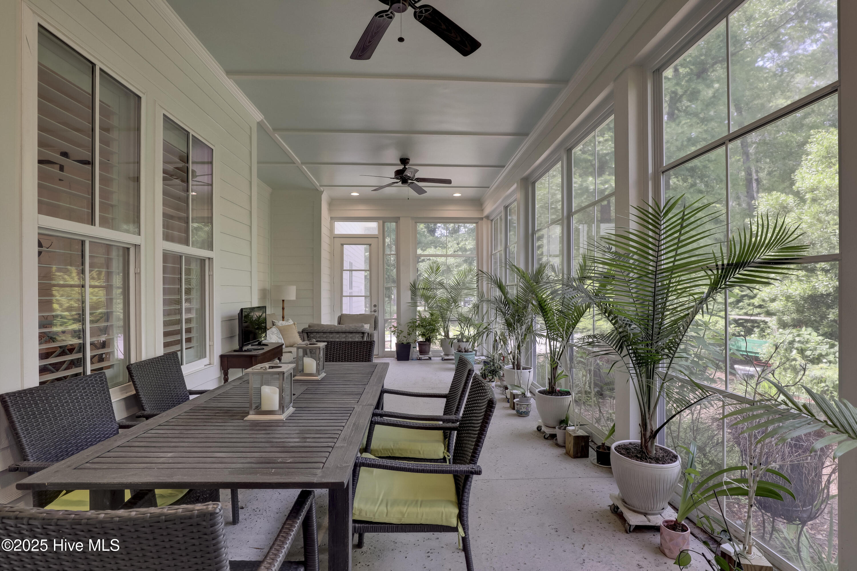 100523529 | Photo 44