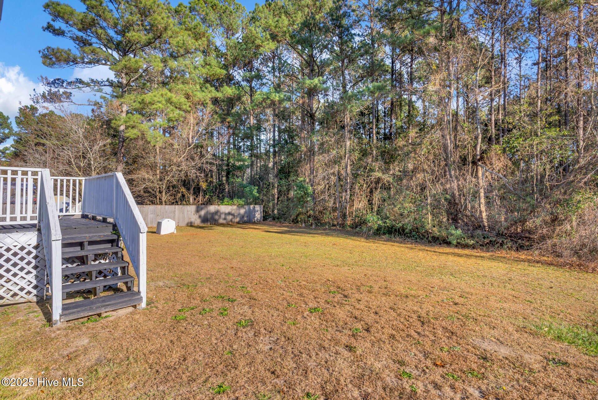 100503188 | Photo 27