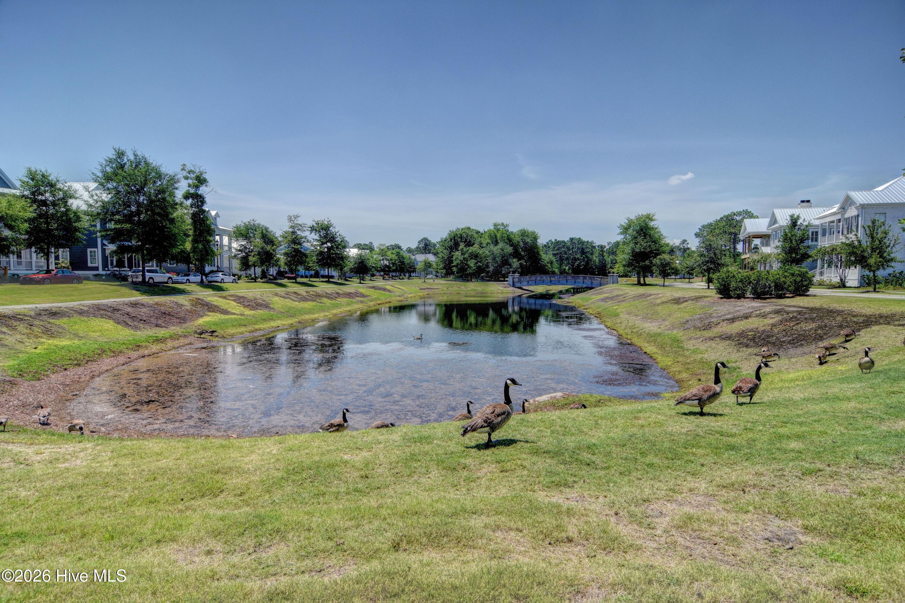 100549123 | Photo 52