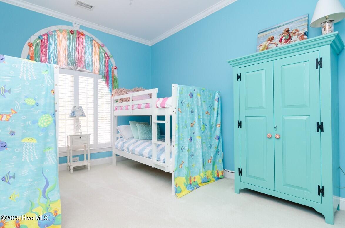 100528608 | Photo 29