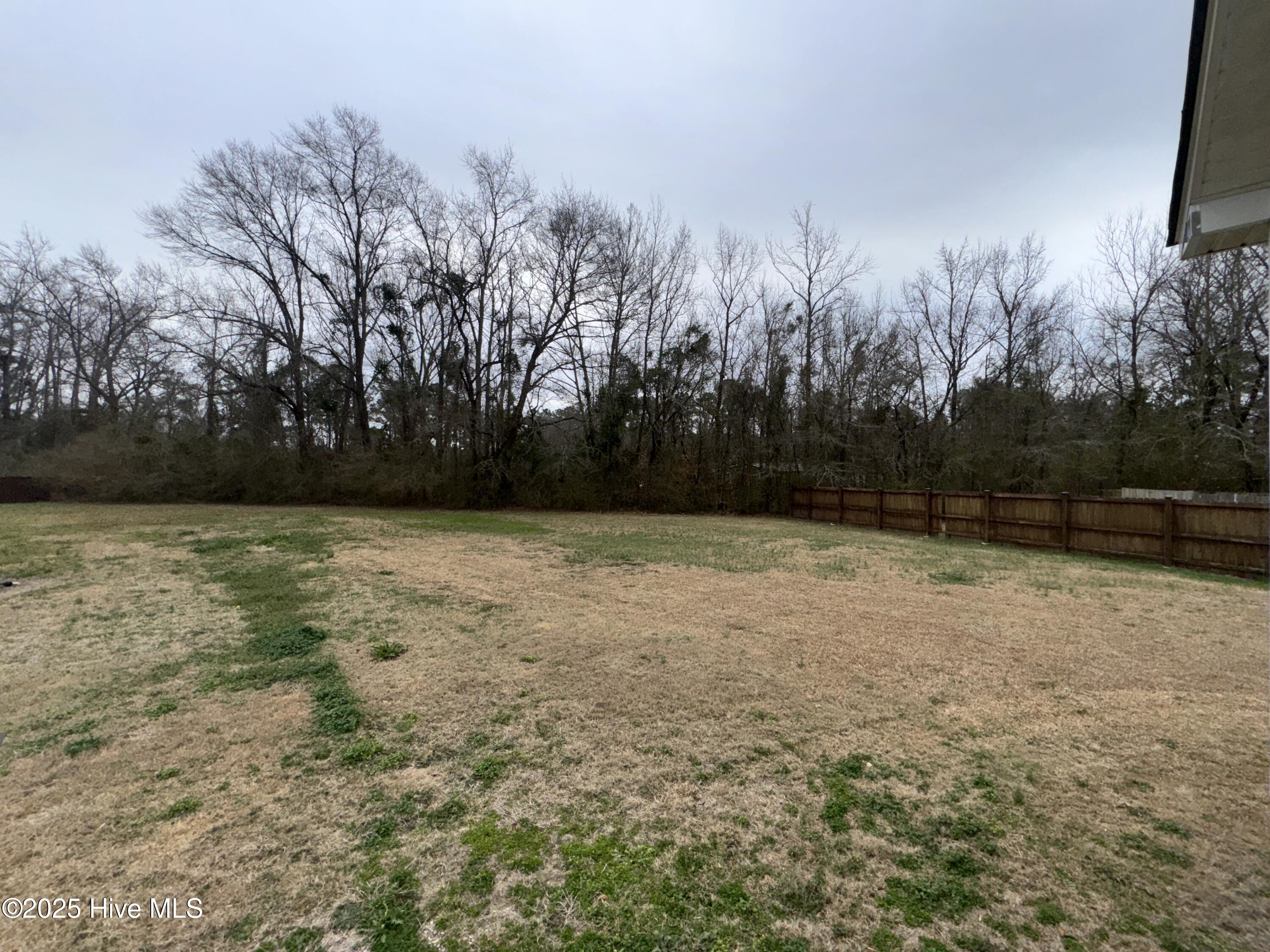 100566891 | Photo 13