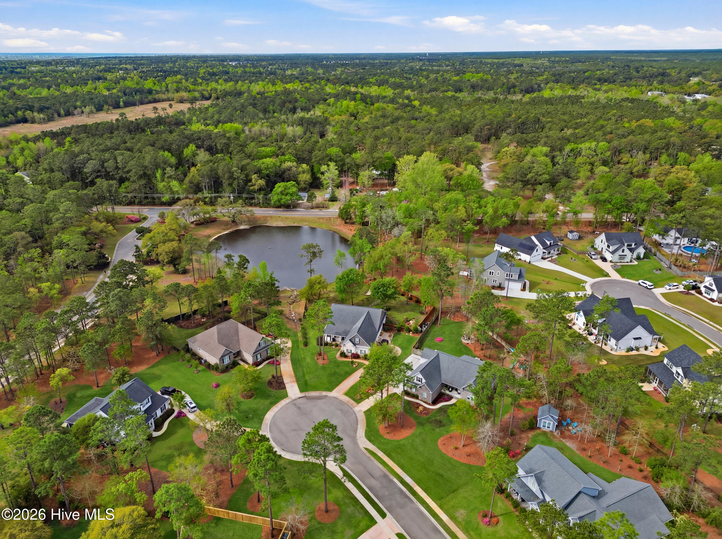 100565388 | Photo 74