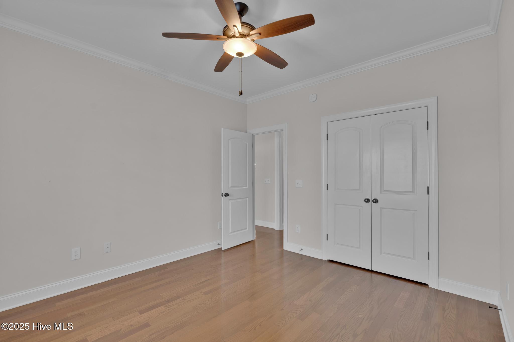 100542823 | Photo 32