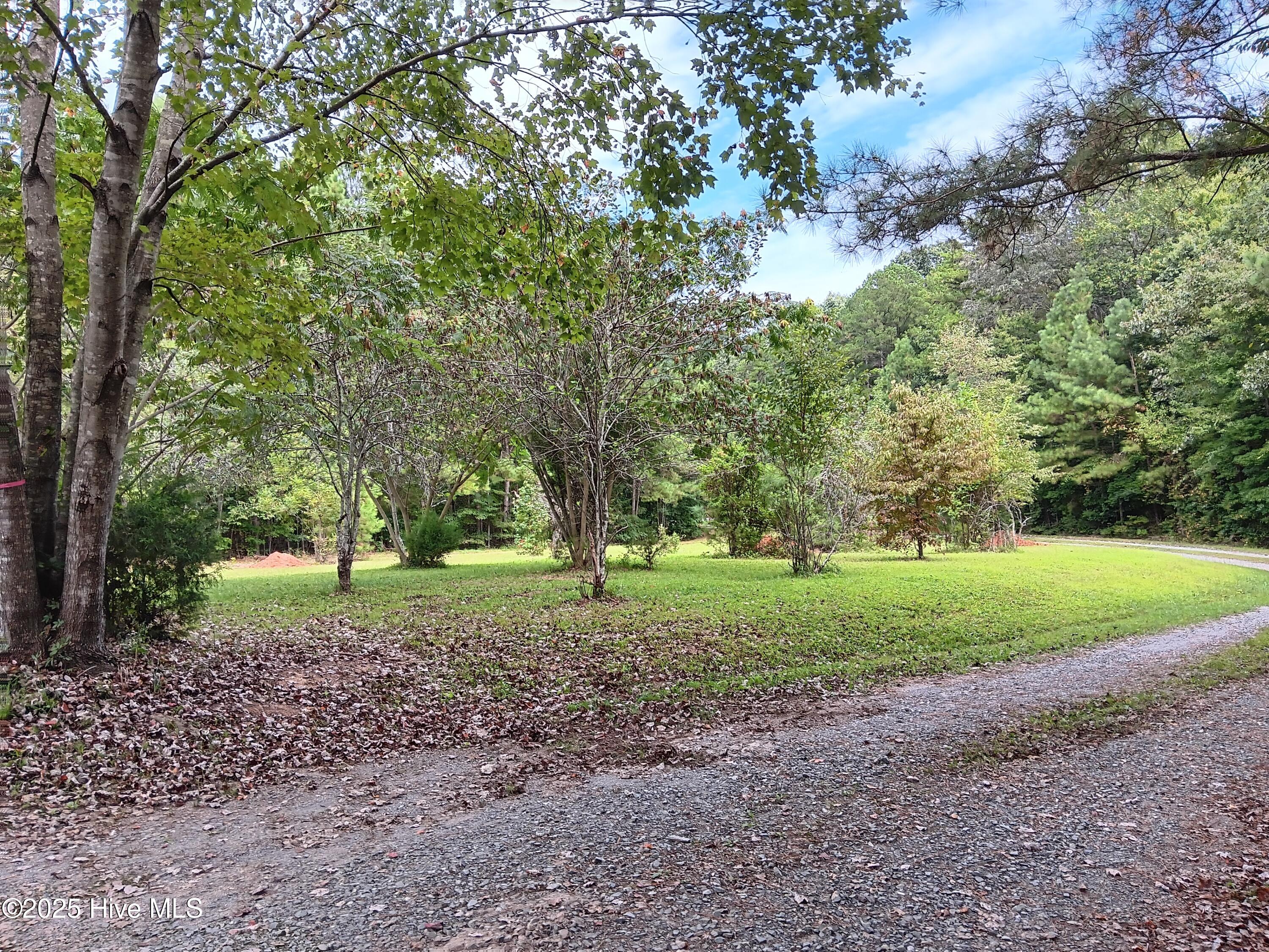 From Top of Driveway