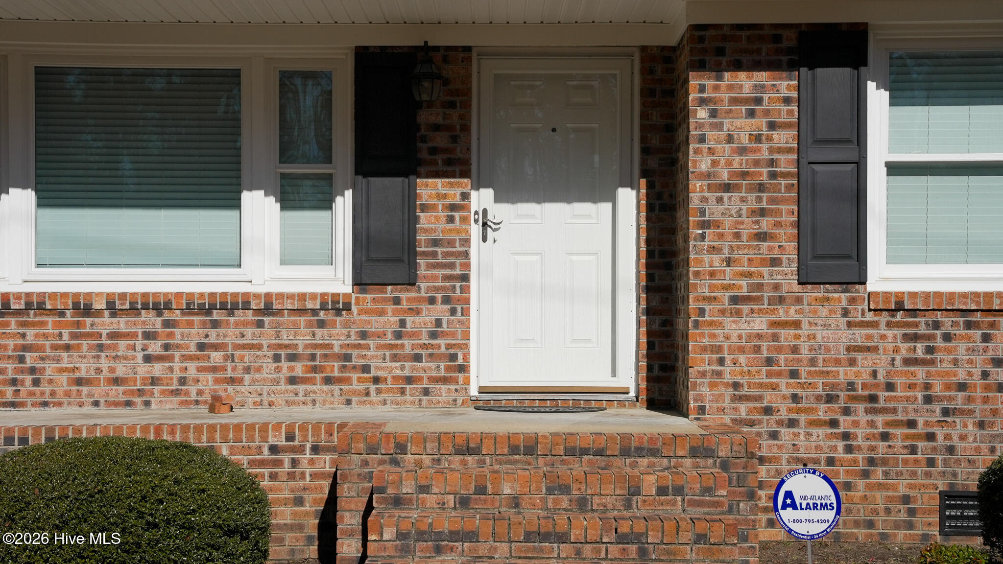 100554876 | Photo 17