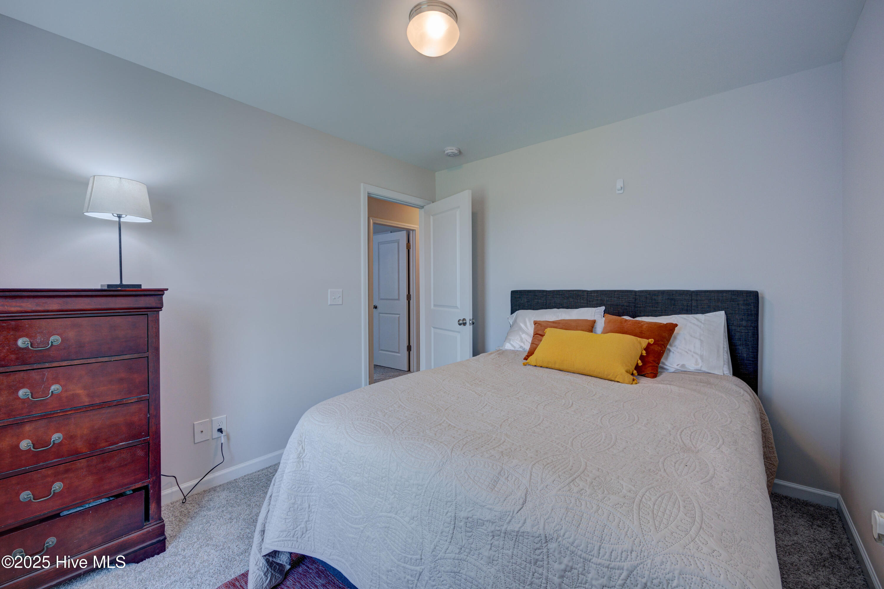 100535248 | Photo 31