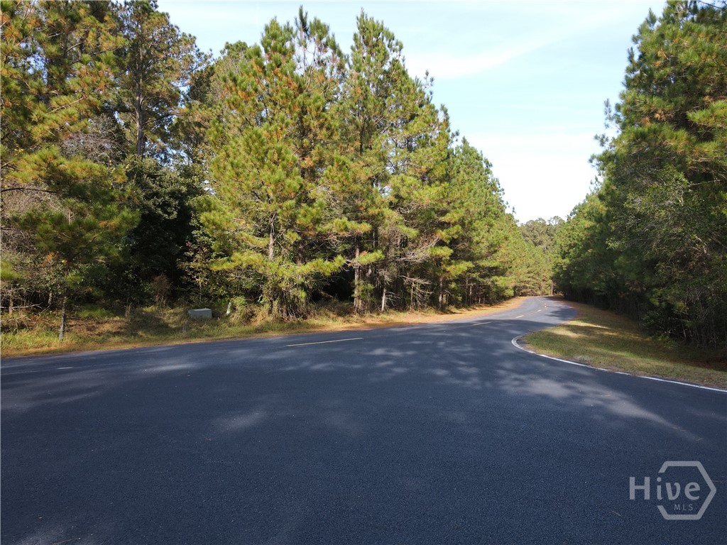Homes for sale in Townsend, GA | Lot 45 Ne Marsh Way W, Townsend, GA 31331 | MLS# SA344639