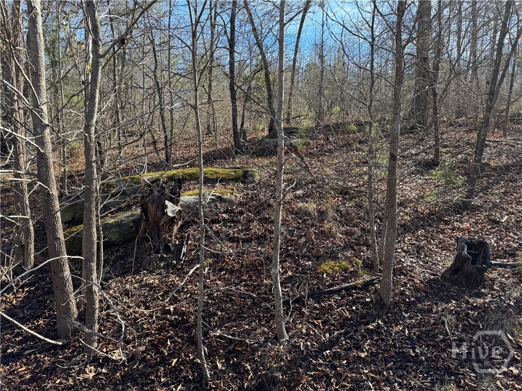 738 Old Mineral Springs Road, Elberton, GA, 30635