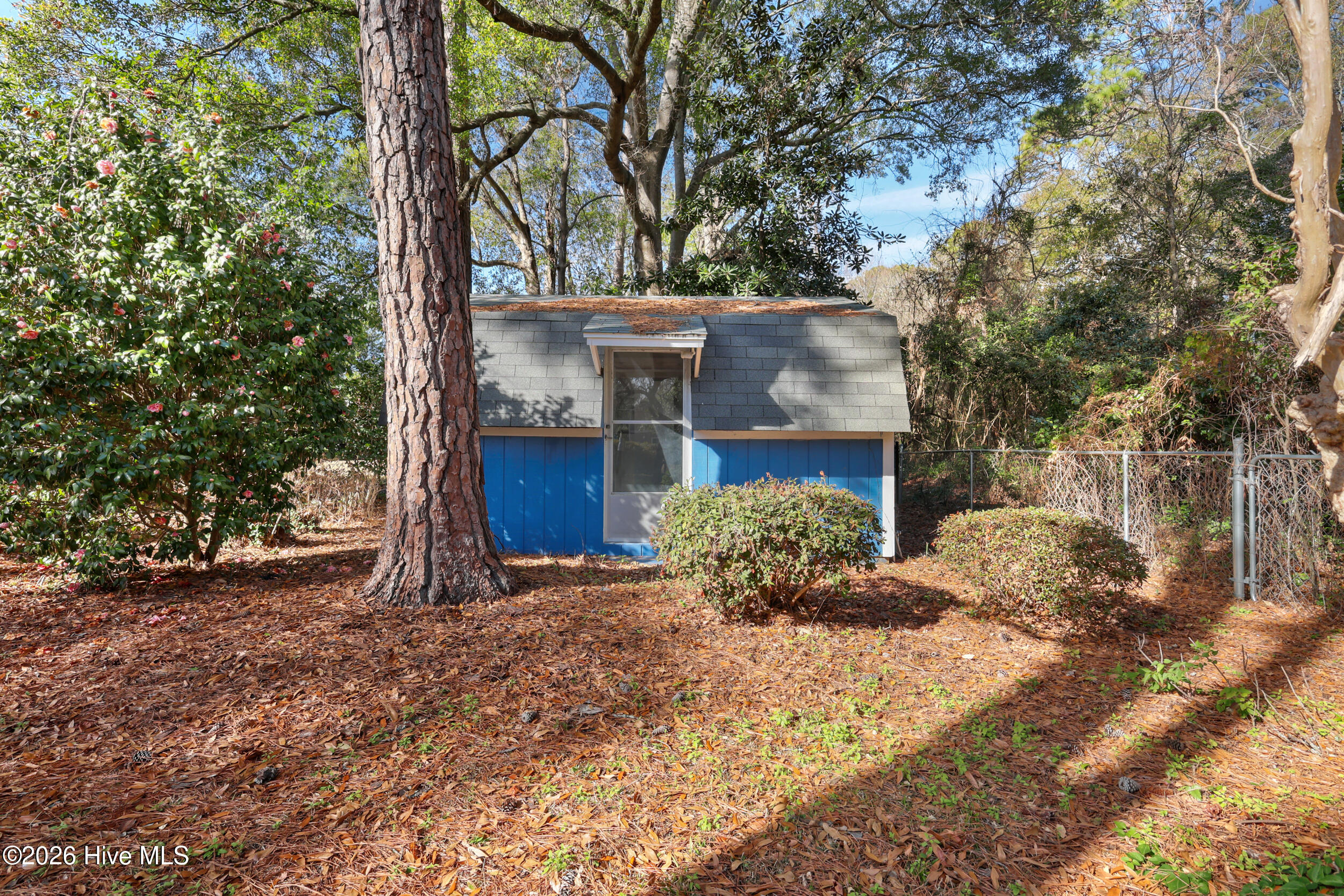 100550925 | Photo 34