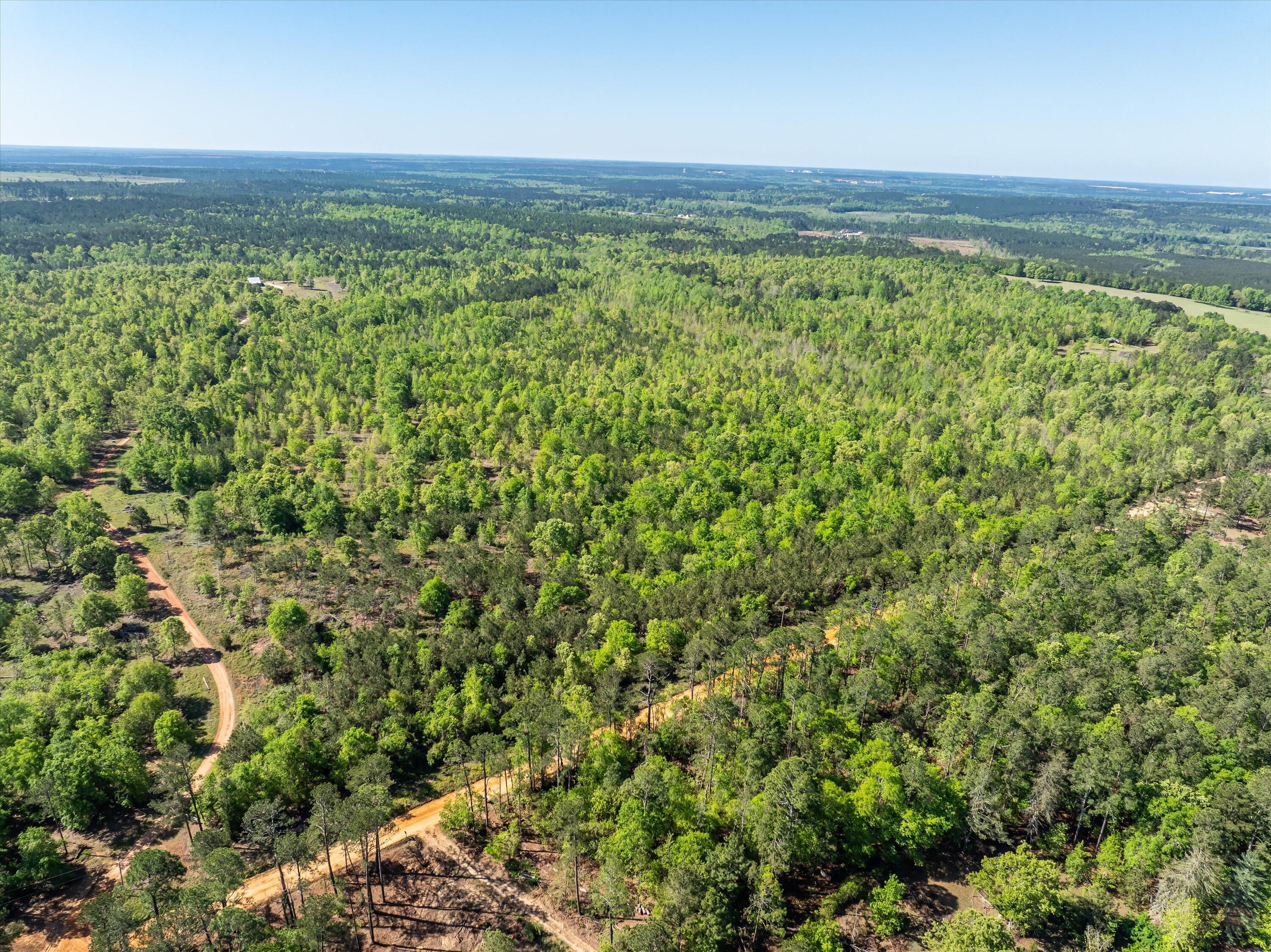 08-DJI_0650-HDR
