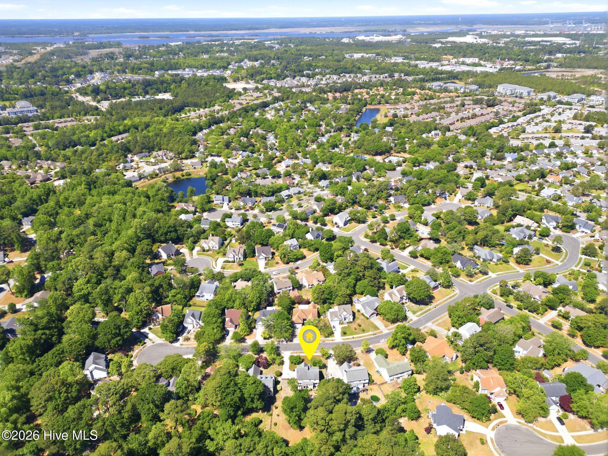 100568966 | Photo 81